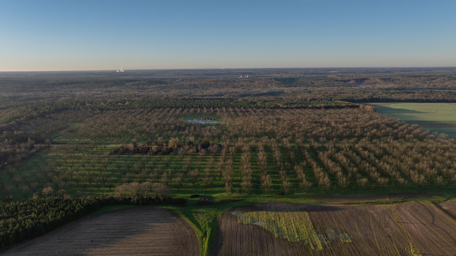 Image for Sidney Lanier Farms - 271+/- Acres - Whitewater Road Orchards