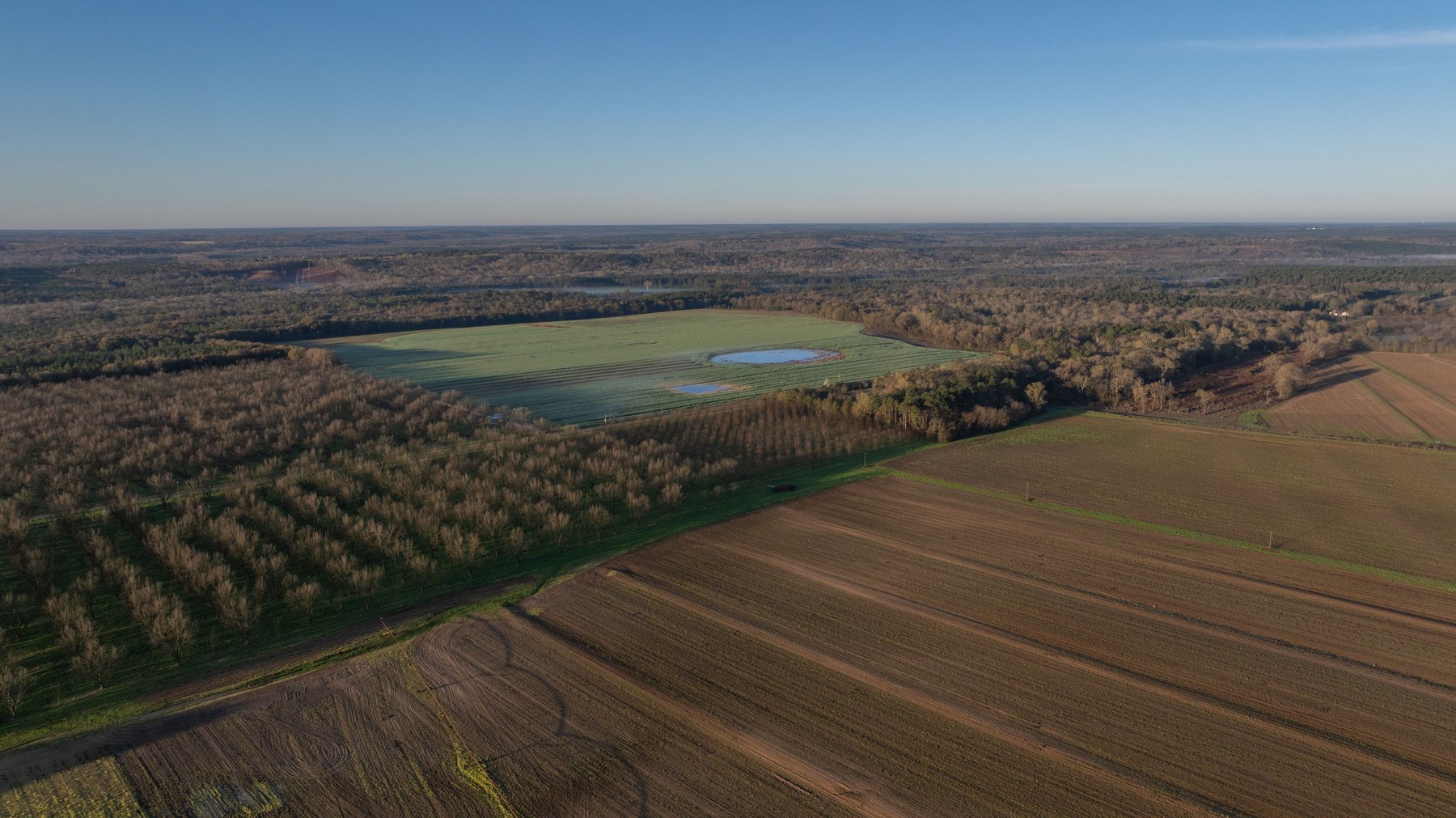 Image for Sidney Lanier Farms - 271+/- Acres - Whitewater Road Orchards