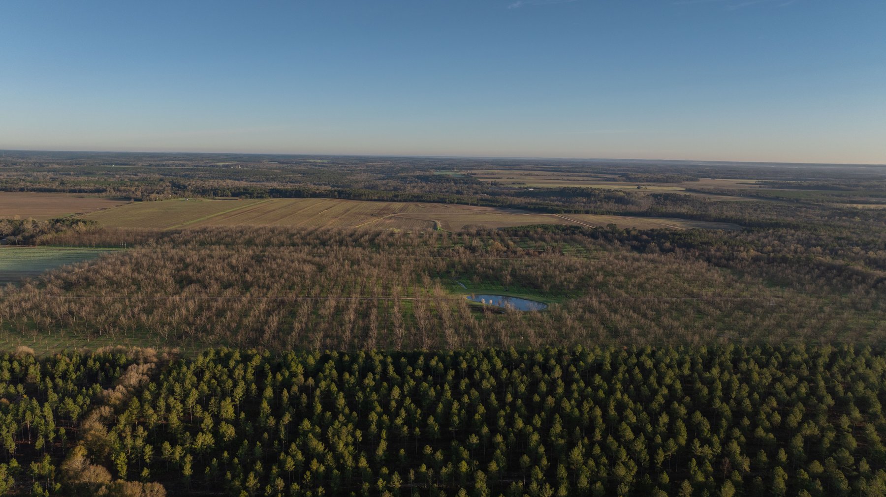 Image for Sidney Lanier Farms - 271+/- Acres - Whitewater Road Orchards