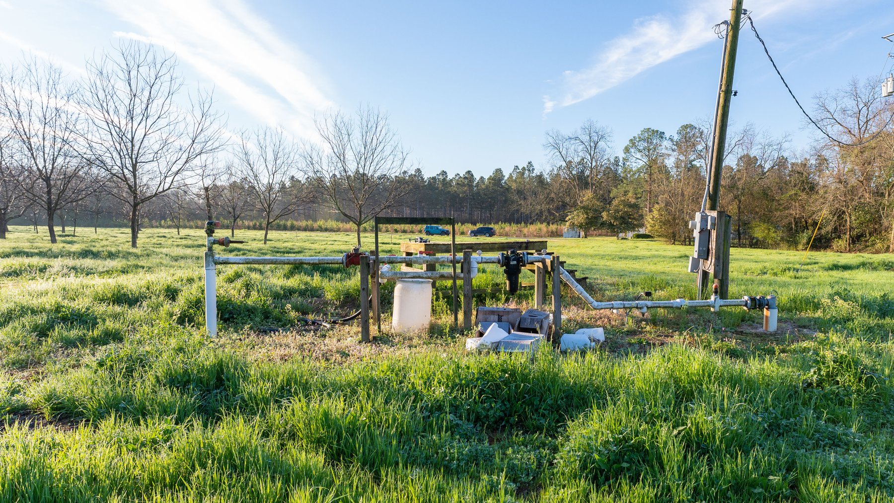 Image for Sidney Lanier Farms - 271+/- Acres - Whitewater Road Orchards
