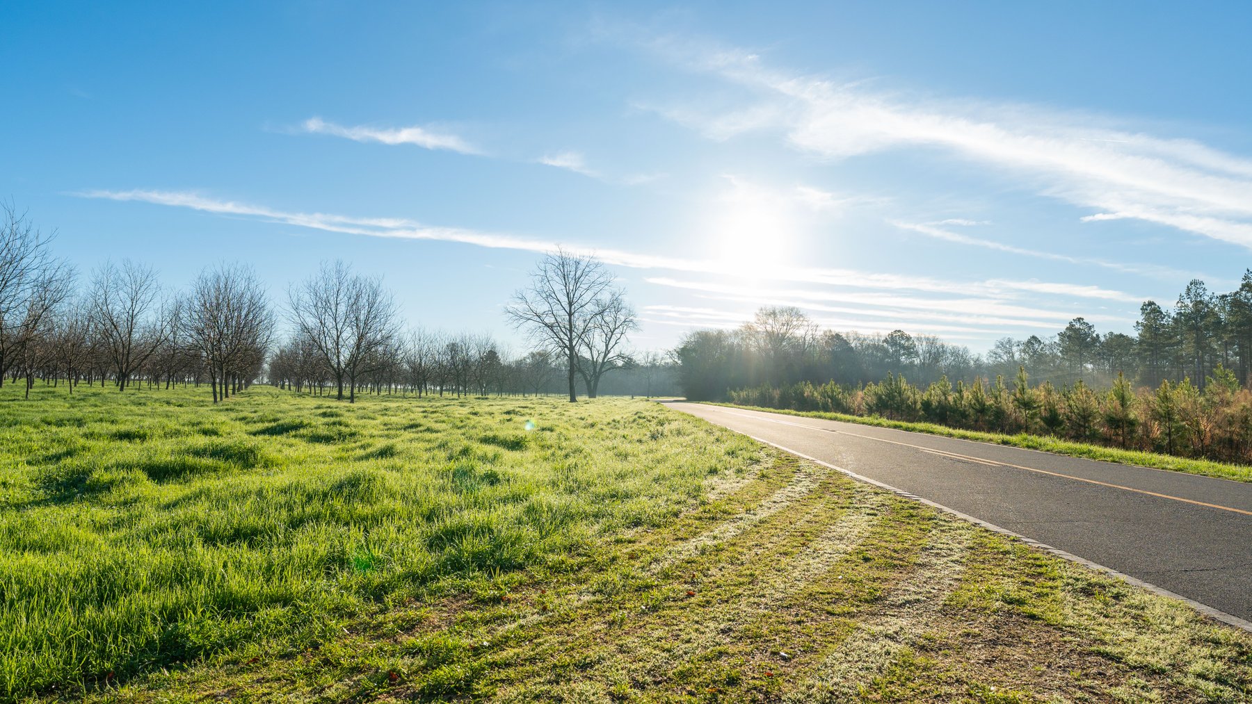 Image for Sidney Lanier Farms - 271+/- Acres - Whitewater Road Orchards