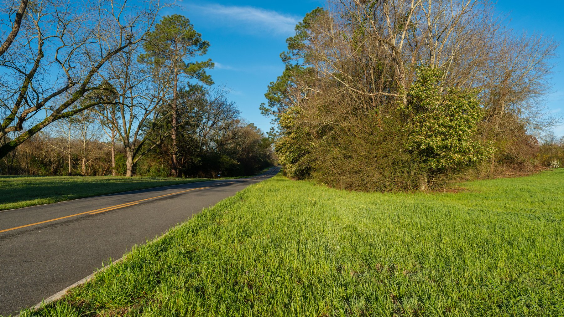Image for Sidney Lanier Farms - 271+/- Acres - Whitewater Road Orchards