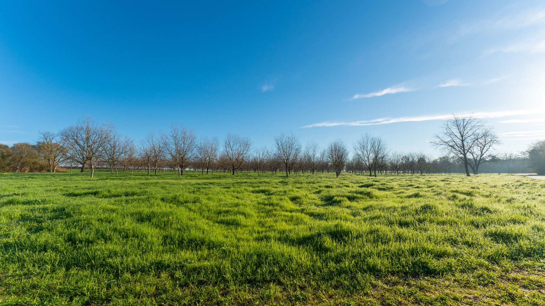 Image for Sidney Lanier Farms - 271+/- Acres - Whitewater Road Orchards