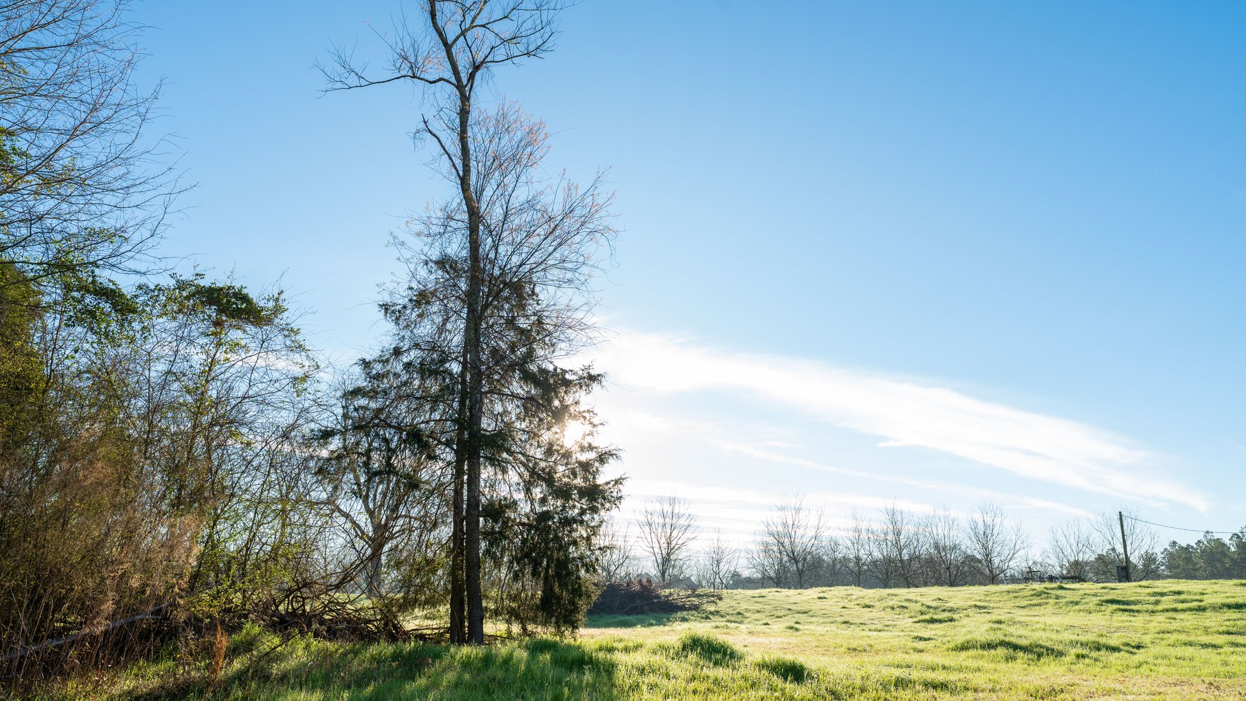 Image for Sidney Lanier Farms - 271+/- Acres - Whitewater Road Orchards