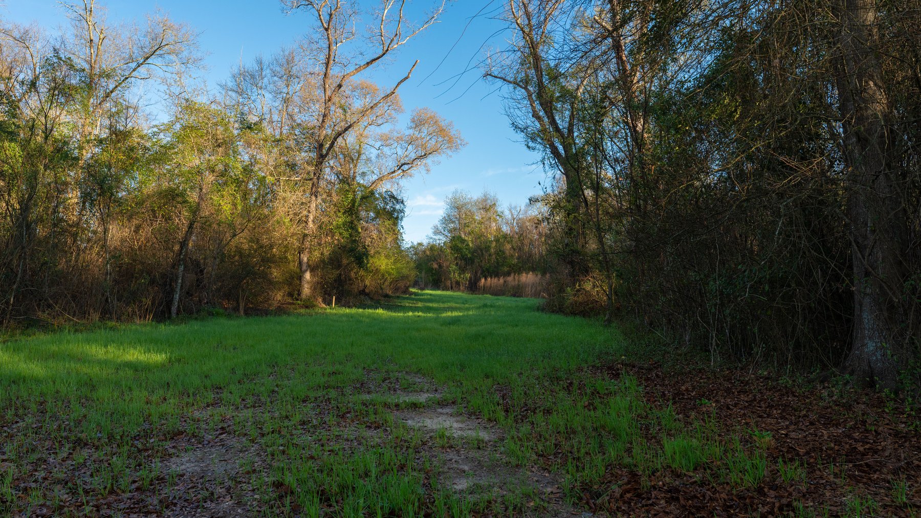 Image for Sidney Lanier Farms - 271+/- Acres - Whitewater Road Orchards