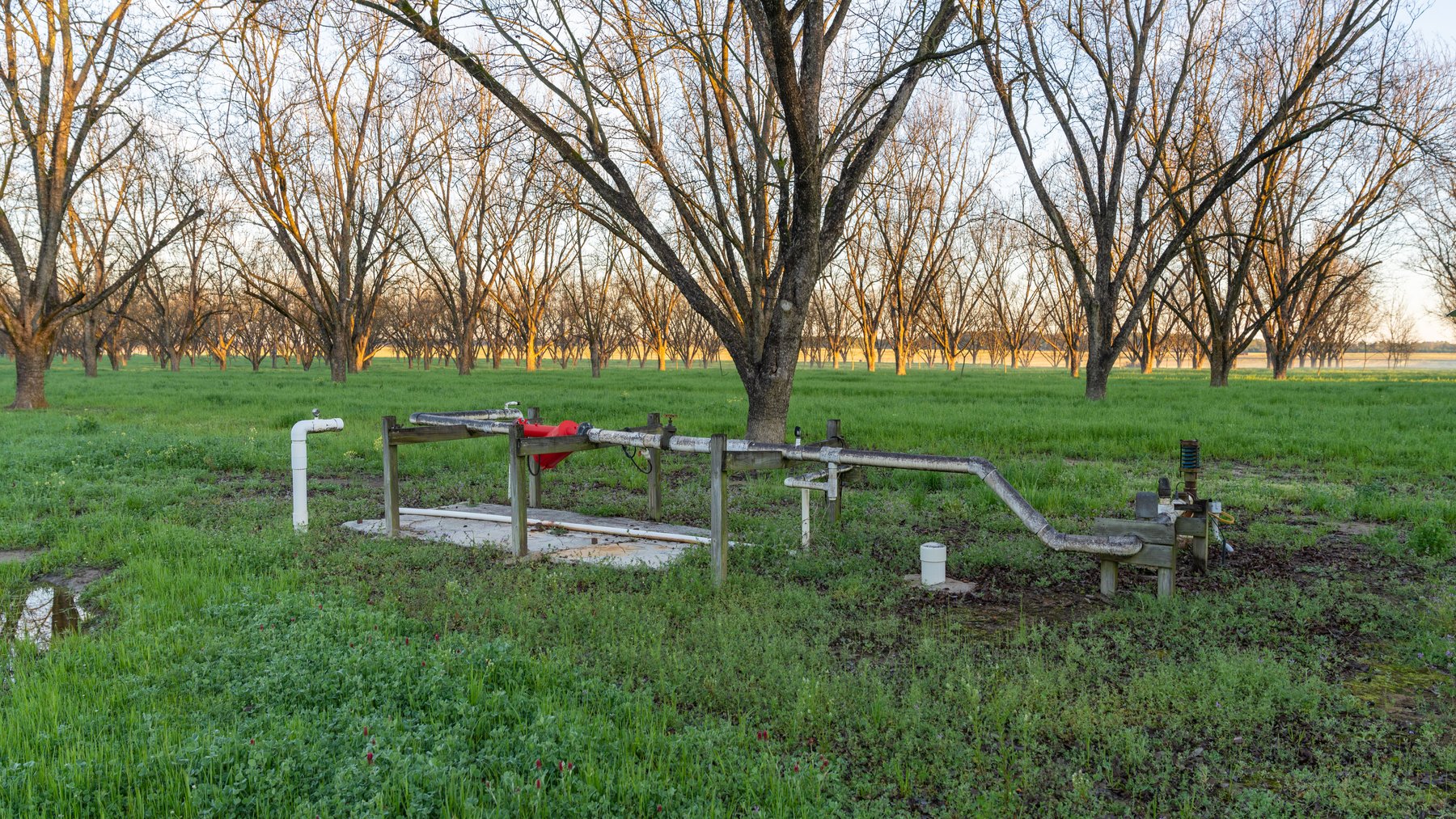 Image for Sidney Lanier Farms - 271+/- Acres - Whitewater Road Orchards