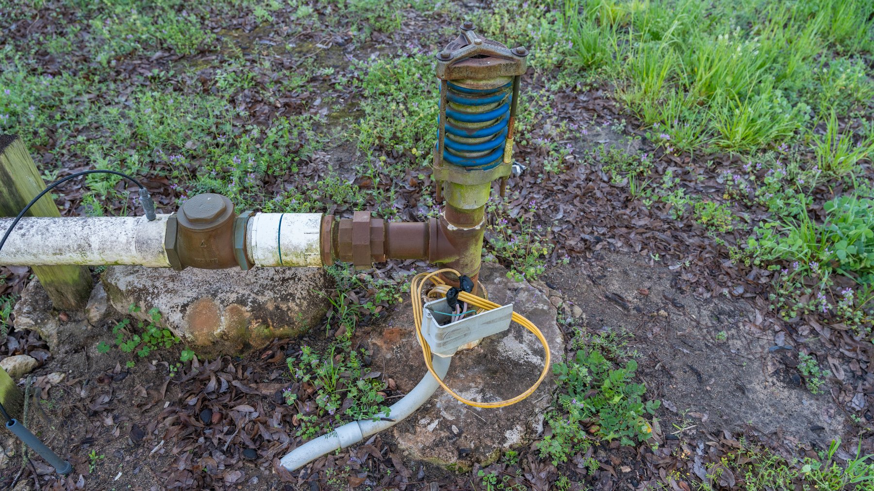 Image for Sidney Lanier Farms - 271+/- Acres - Whitewater Road Orchards