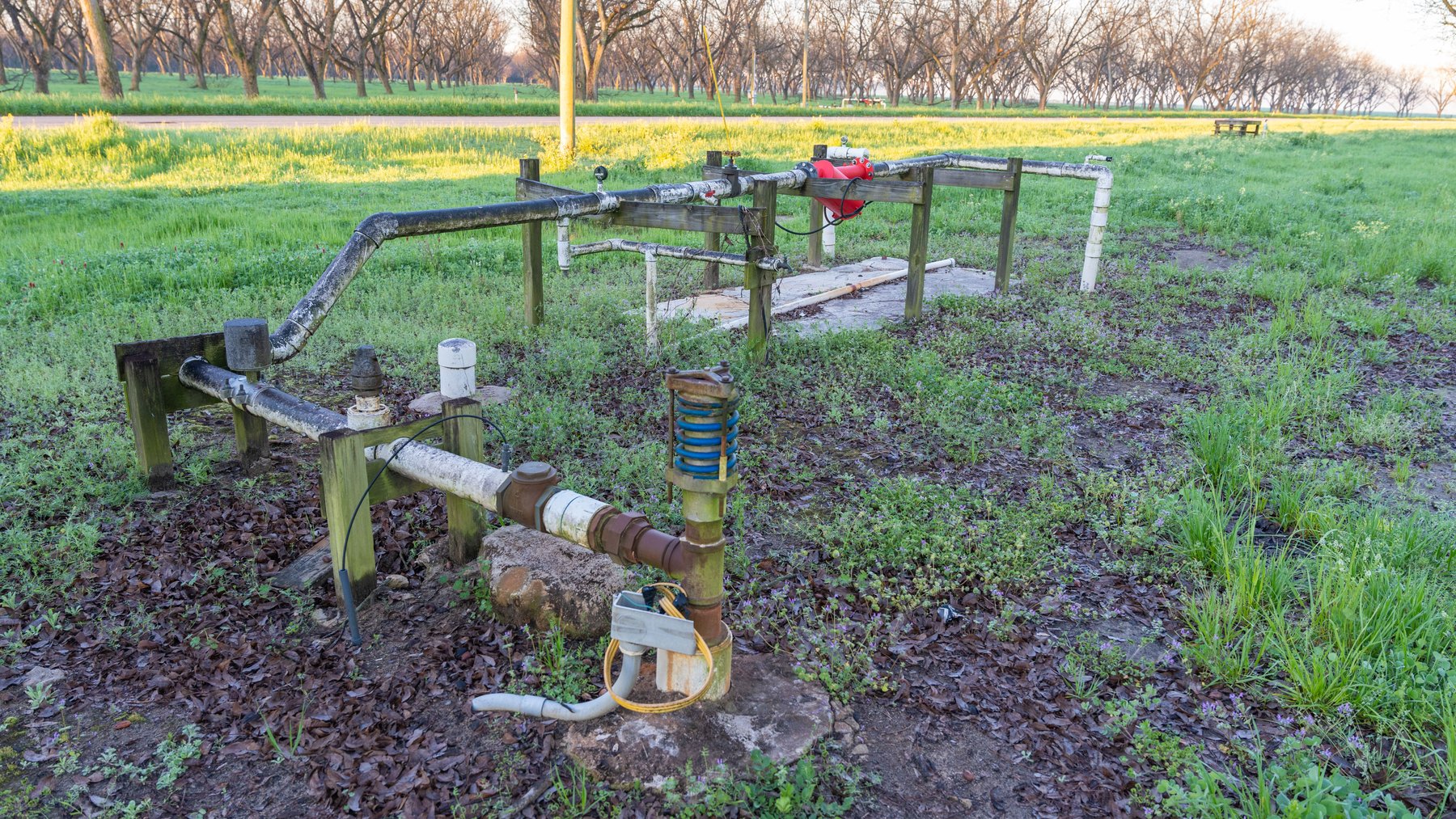 Image for Sidney Lanier Farms - 271+/- Acres - Whitewater Road Orchards