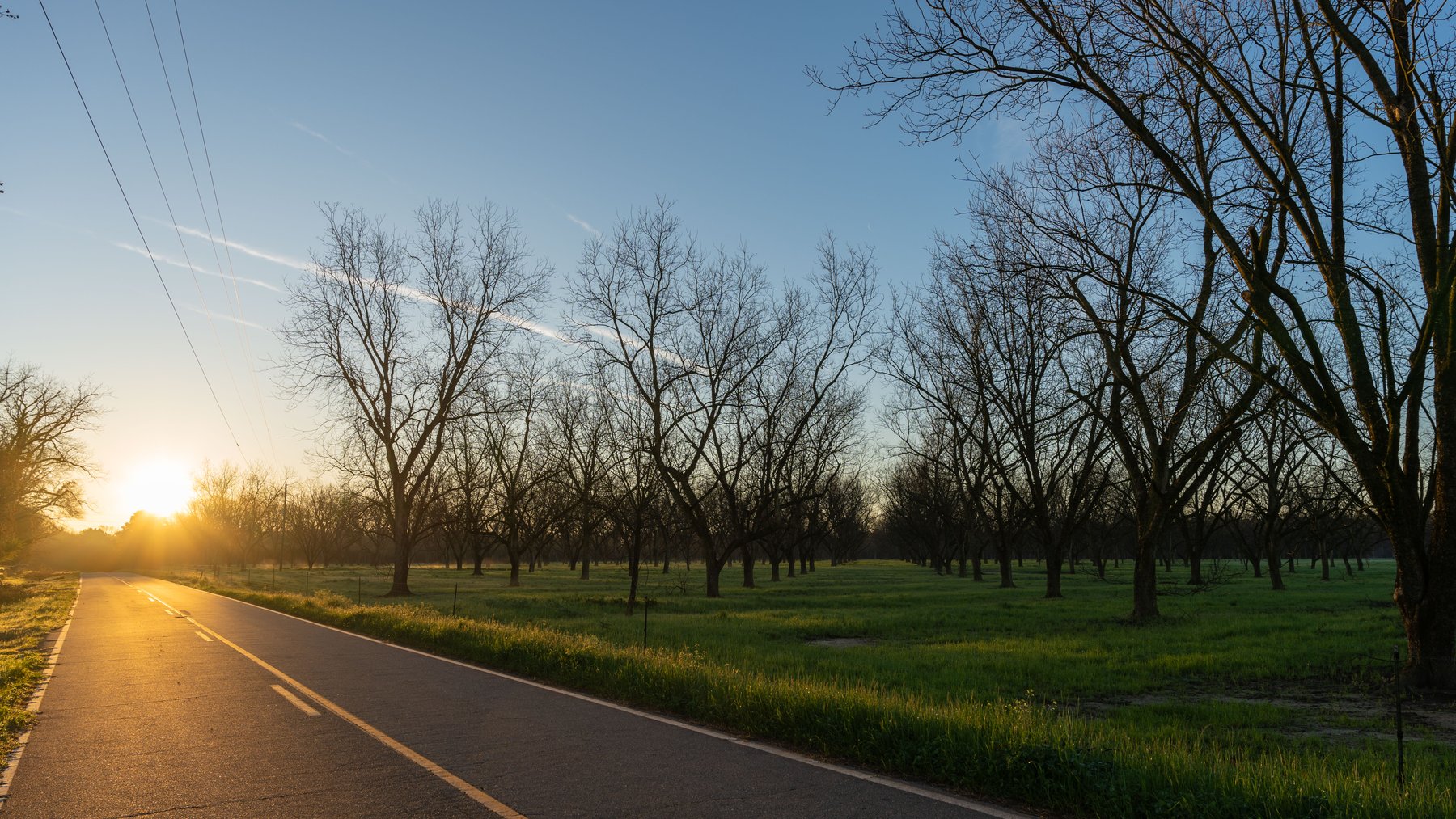 Image for Sidney Lanier Farms - 271+/- Acres - Whitewater Road Orchards
