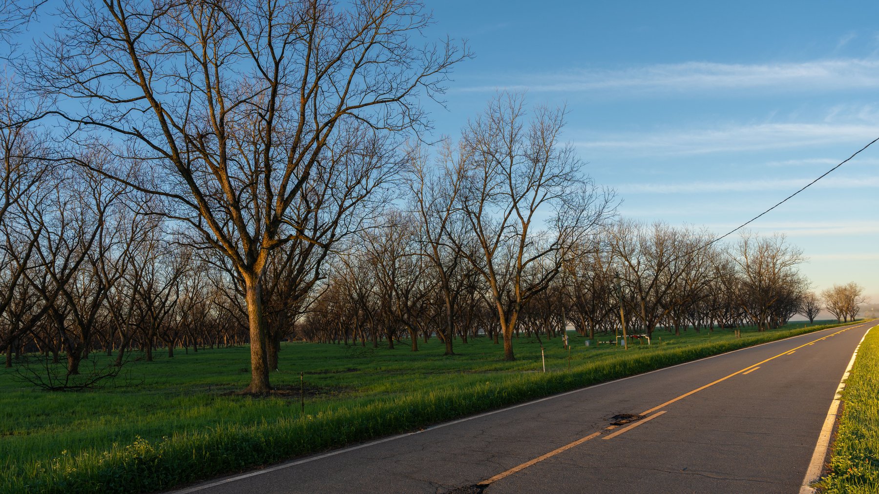 Image for Sidney Lanier Farms - 271+/- Acres - Whitewater Road Orchards