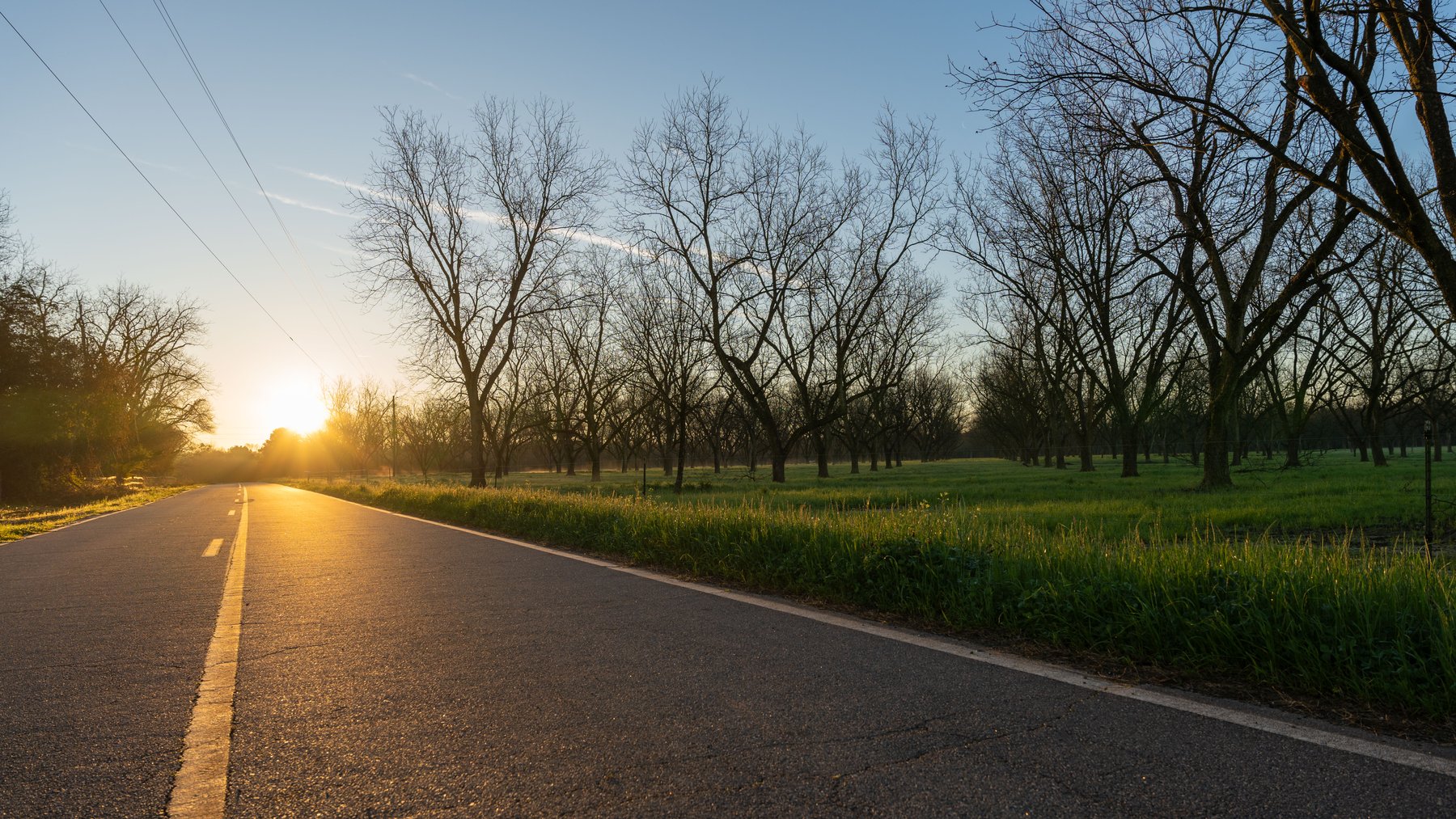 Image for Sidney Lanier Farms - 271+/- Acres - Whitewater Road Orchards