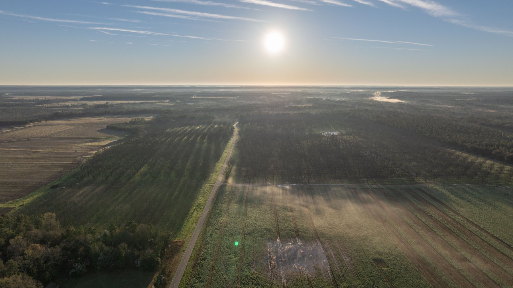 Image for Sidney Lanier Farms - 271+/- Acres - Whitewater Road Orchards