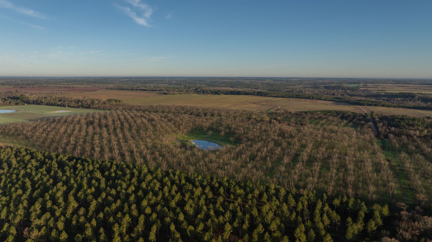 Image for Sidney Lanier Farms - 271+/- Acres - Whitewater Road Orchards