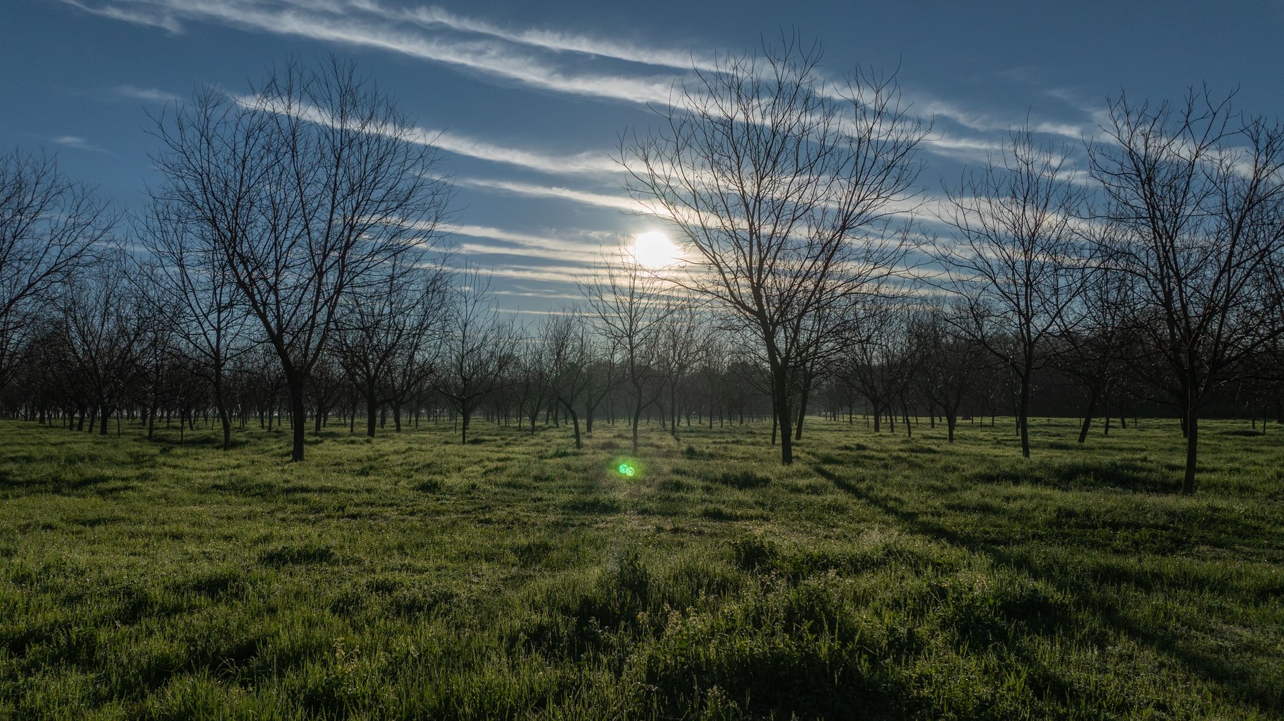 Image for Sidney Lanier Farms - 271+/- Acres - Whitewater Road Orchards