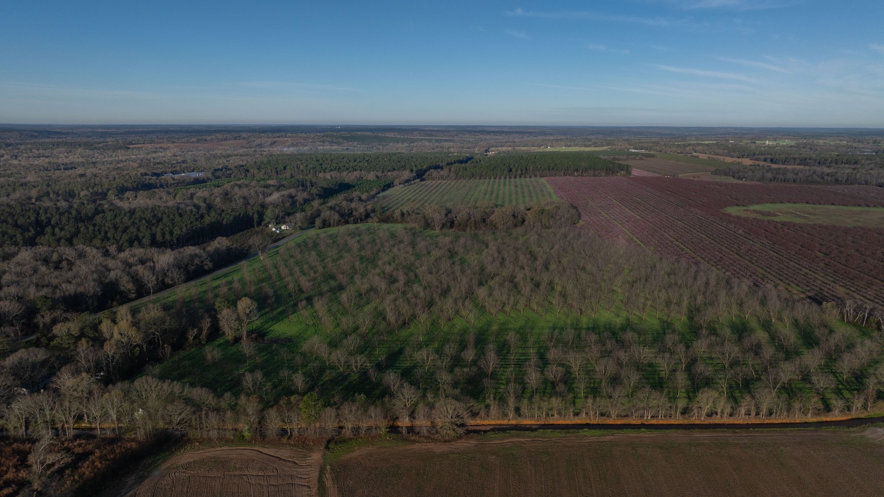 Image for Sidney Lanier Farms - 271+/- Acres - Whitewater Road Orchards