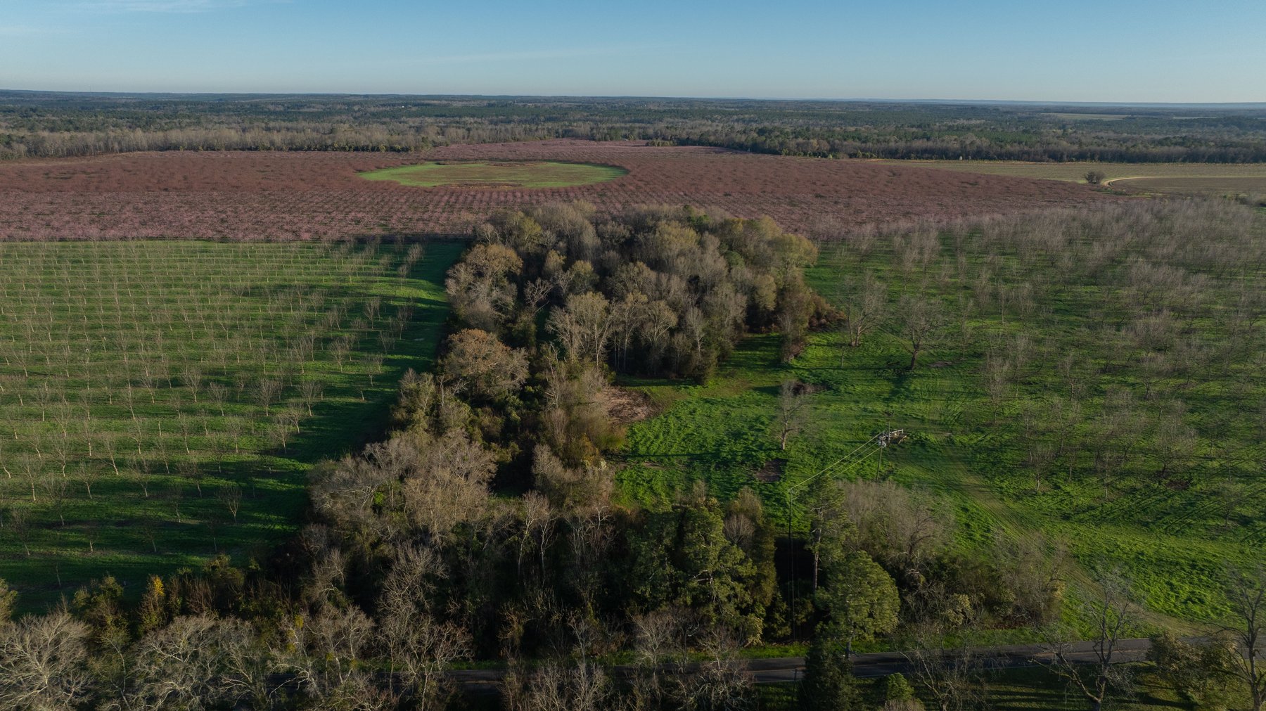Image for Sidney Lanier Farms - 271+/- Acres - Whitewater Road Orchards