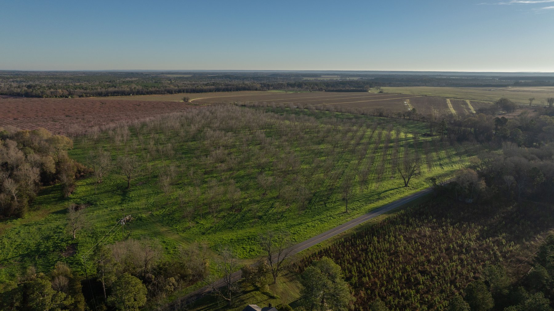 Image for Sidney Lanier Farms - 271+/- Acres - Whitewater Road Orchards