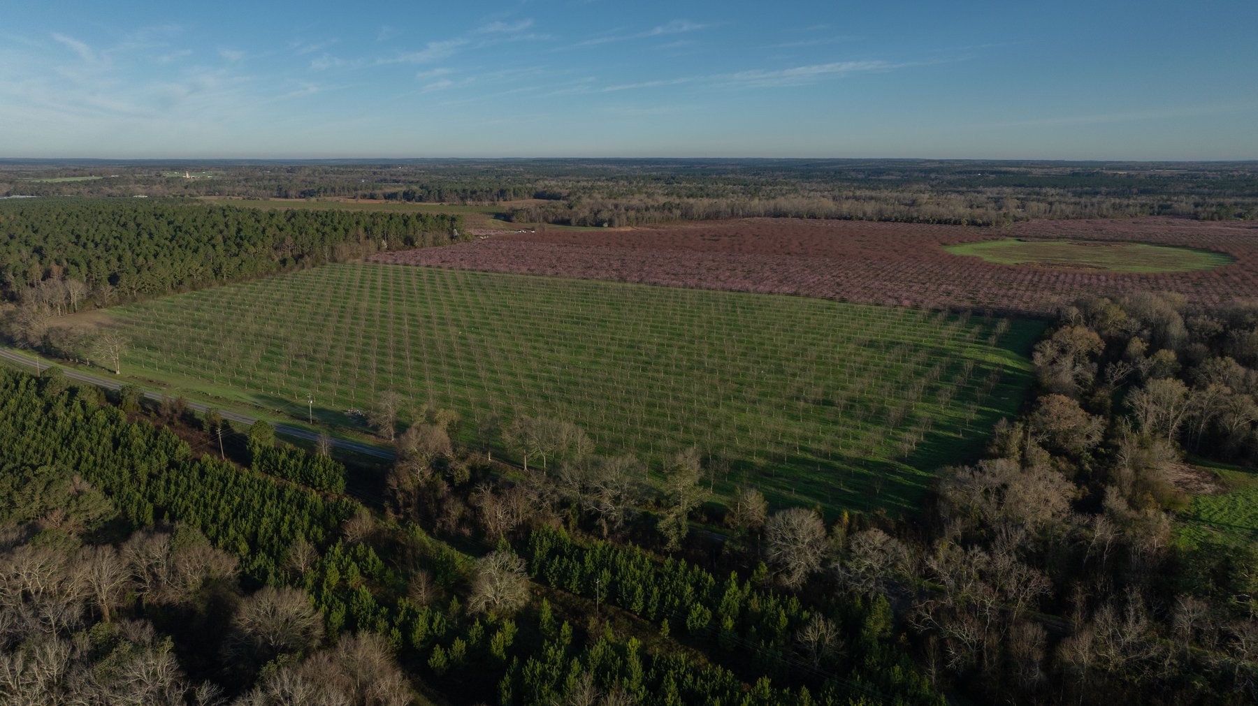 Image for Sidney Lanier Farms - 271+/- Acres - Whitewater Road Orchards