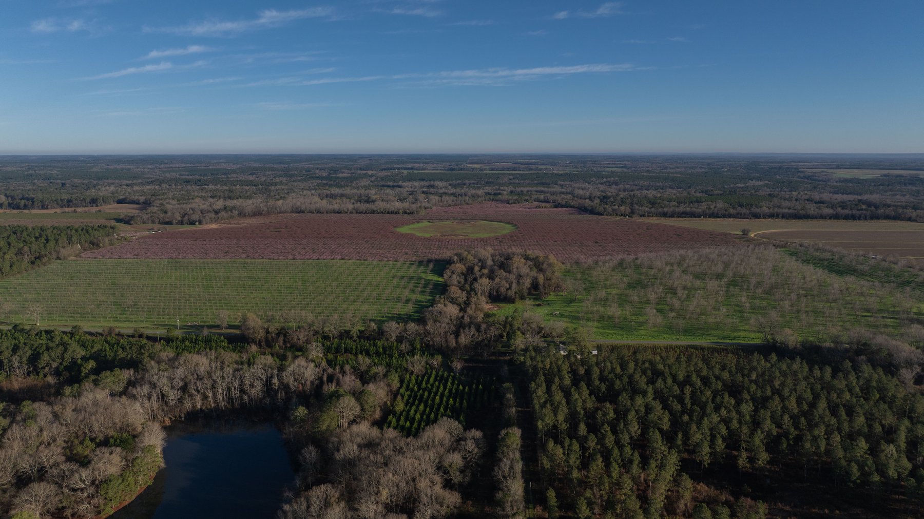 Image for Sidney Lanier Farms - 271+/- Acres - Whitewater Road Orchards