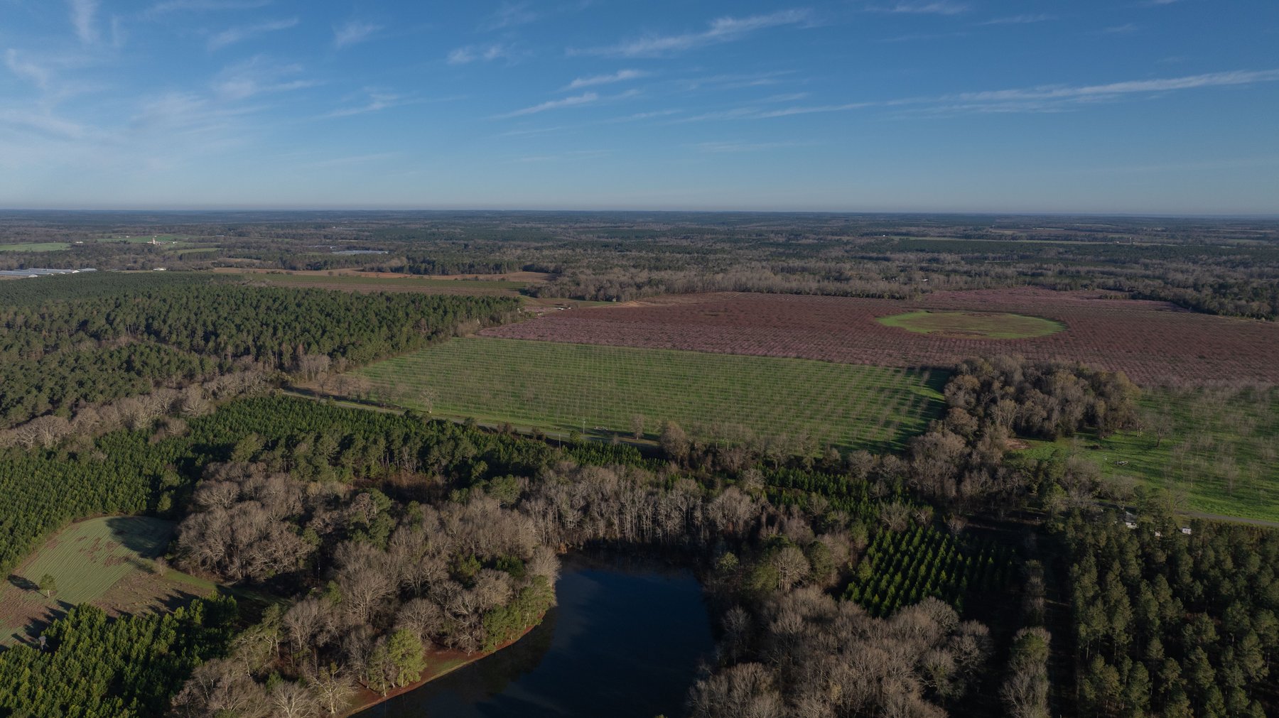 Image for Sidney Lanier Farms - 271+/- Acres - Whitewater Road Orchards