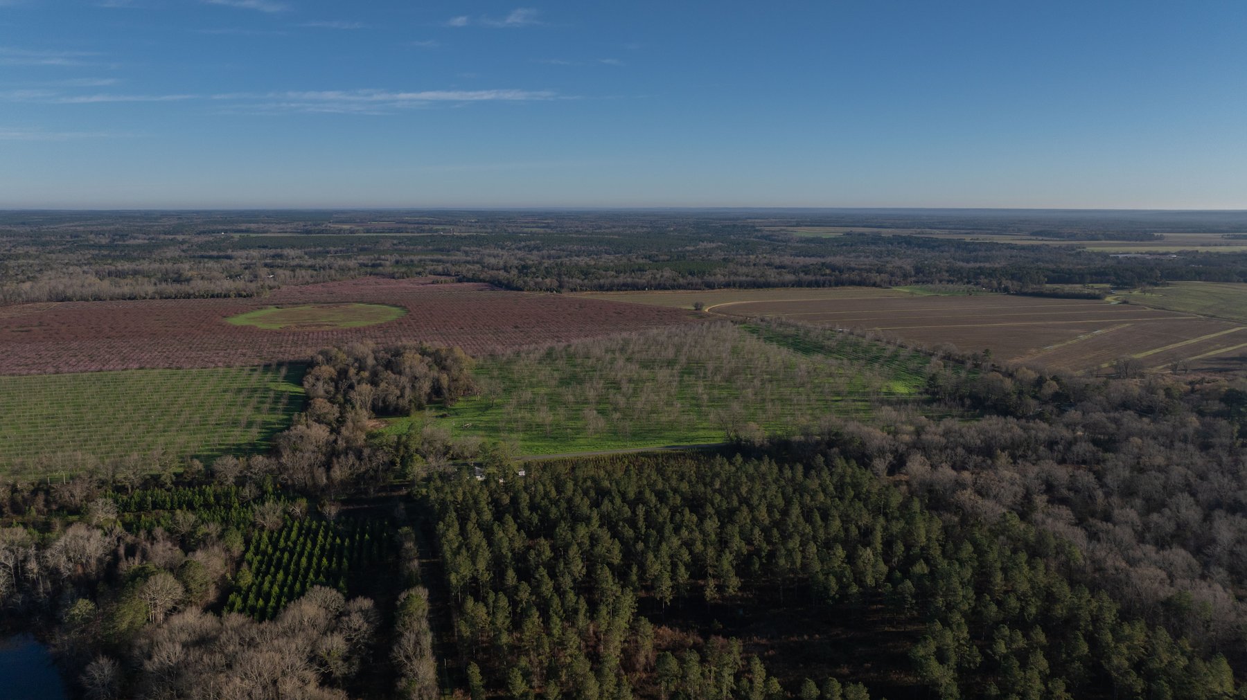 Image for Sidney Lanier Farms - 271+/- Acres - Whitewater Road Orchards