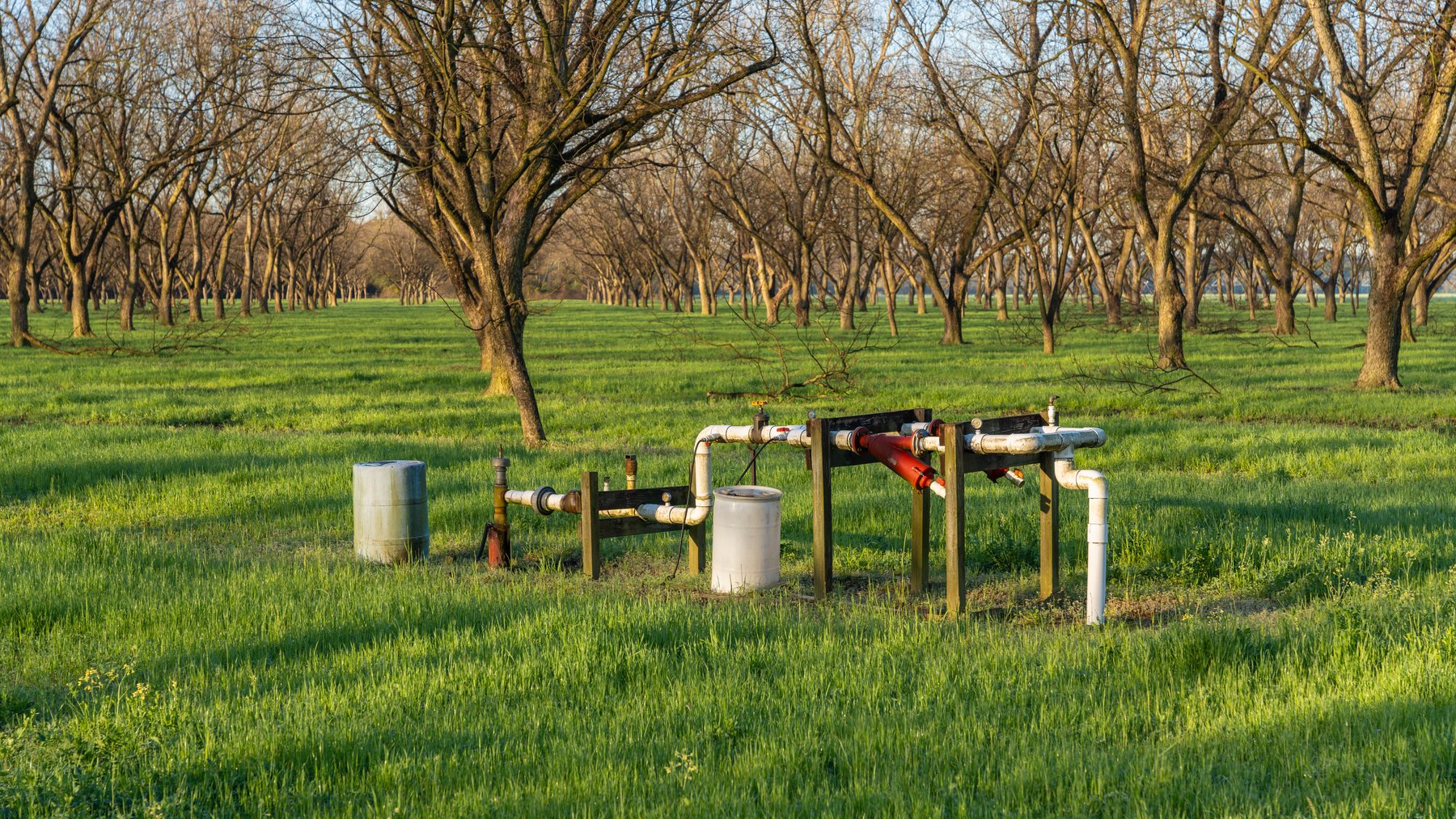 Image for Sidney Lanier Farms - 271+/- Acres - Whitewater Road Orchards