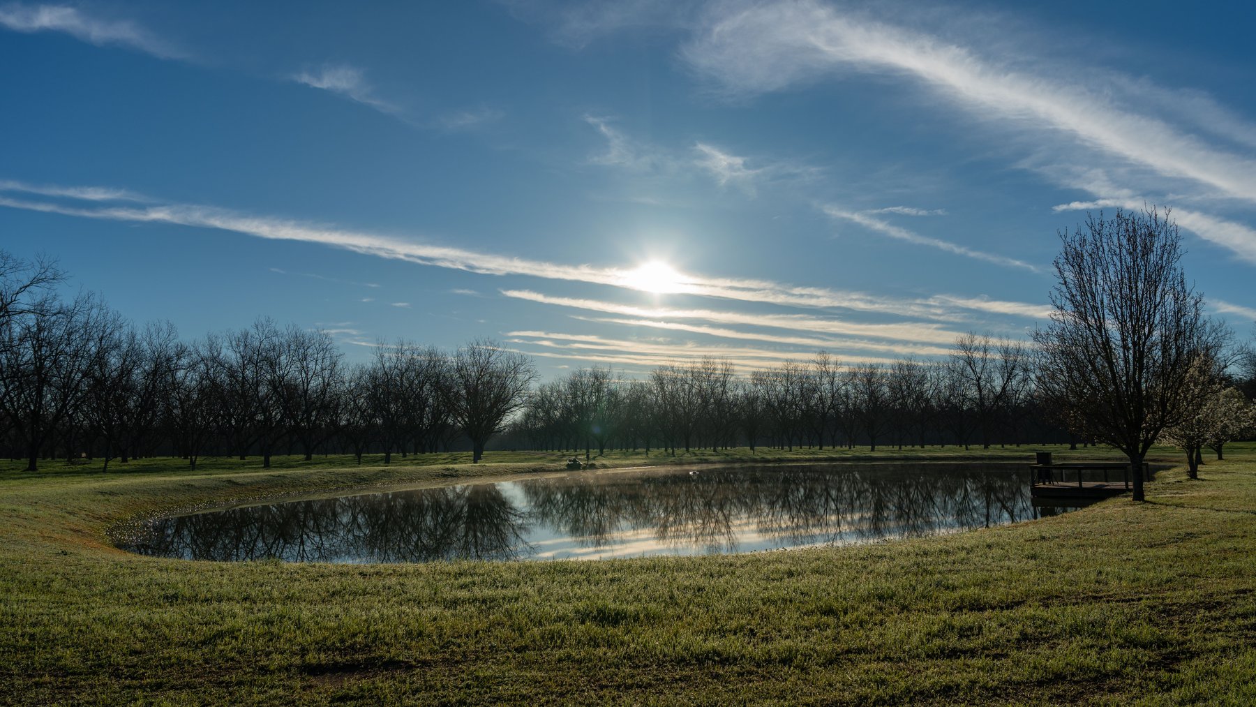 Image for Sidney Lanier Farms - 271+/- Acres - Whitewater Road Orchards