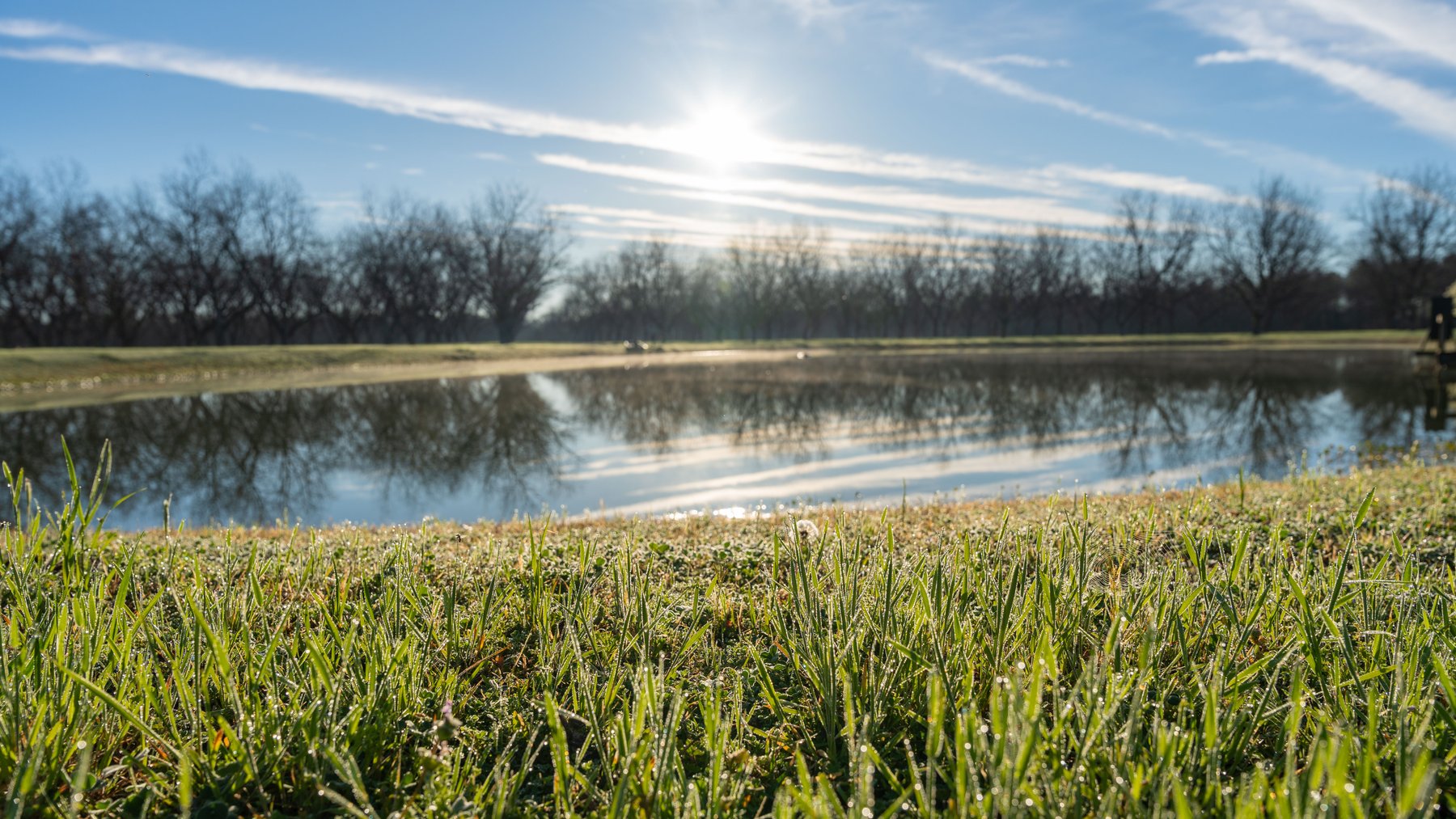 Image for Sidney Lanier Farms - 271+/- Acres - Whitewater Road Orchards