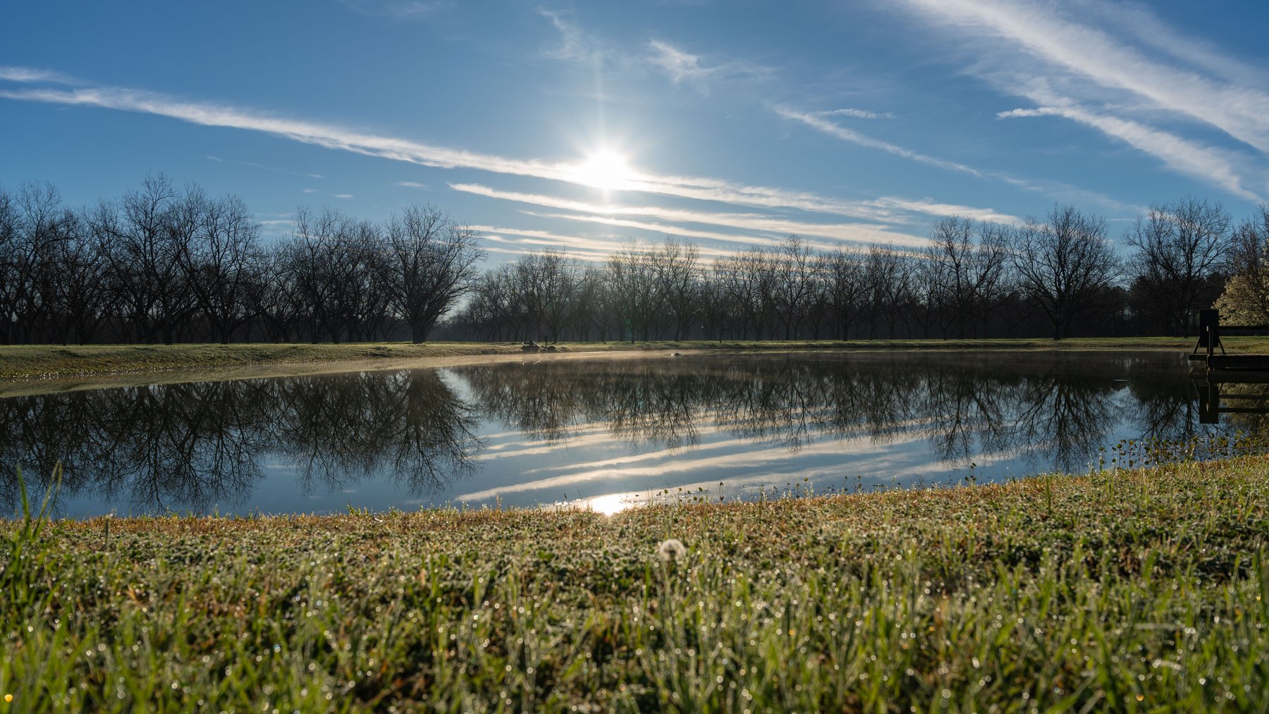 Image for Sidney Lanier Farms - 271+/- Acres - Whitewater Road Orchards