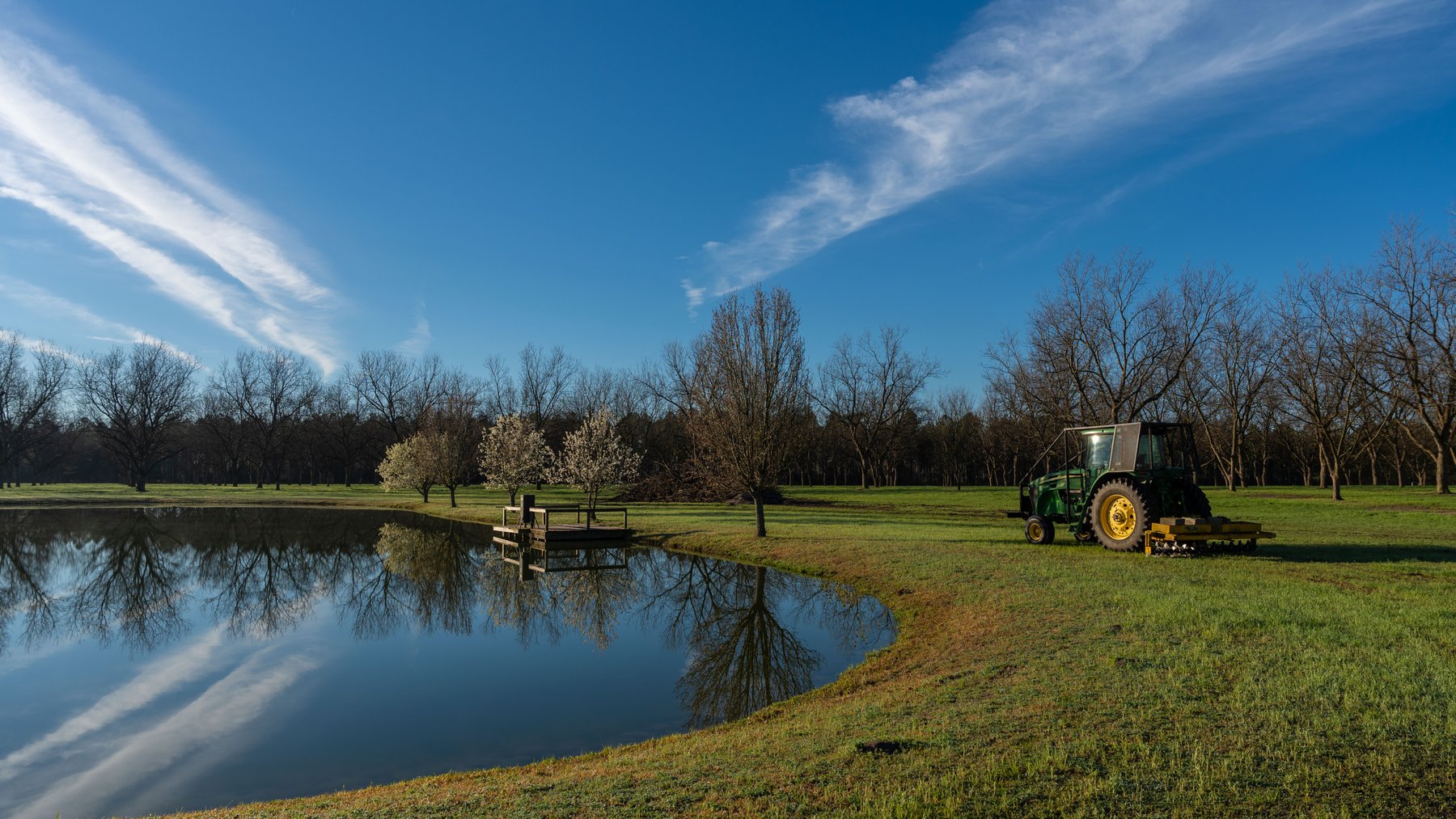 Image for Sidney Lanier Farms - 271+/- Acres - Whitewater Road Orchards