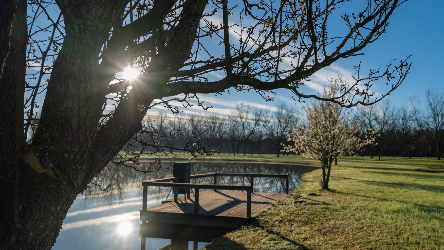 Image for Sidney Lanier Farms - 271+/- Acres - Whitewater Road Orchards