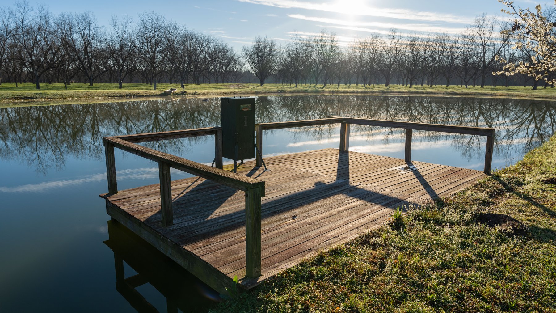Image for Sidney Lanier Farms - 271+/- Acres - Whitewater Road Orchards