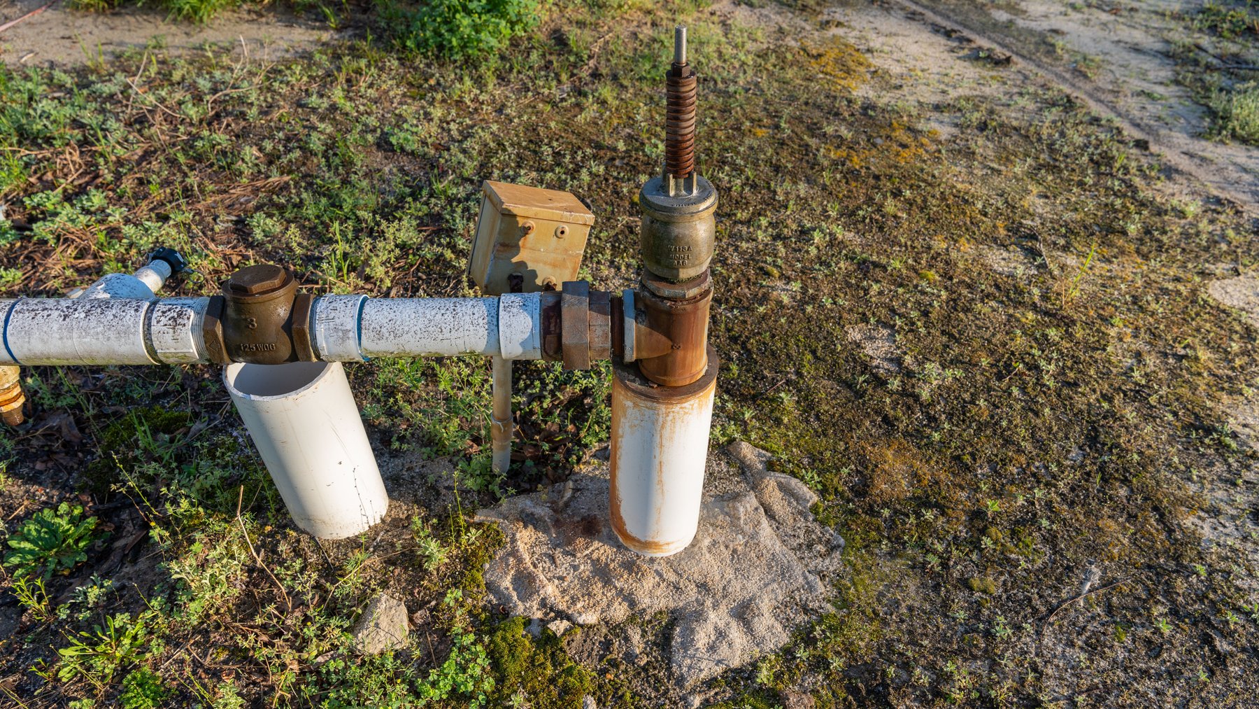 Image for Sidney Lanier Farms - 271+/- Acres - Whitewater Road Orchards