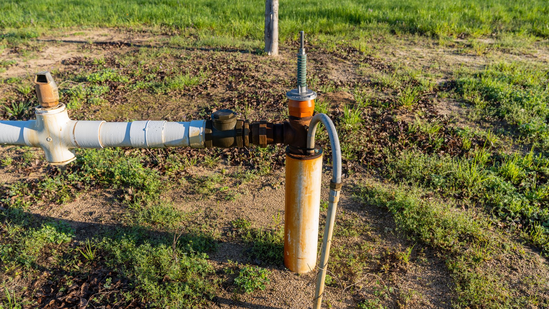 Image for Sidney Lanier Farms - 271+/- Acres - Whitewater Road Orchards