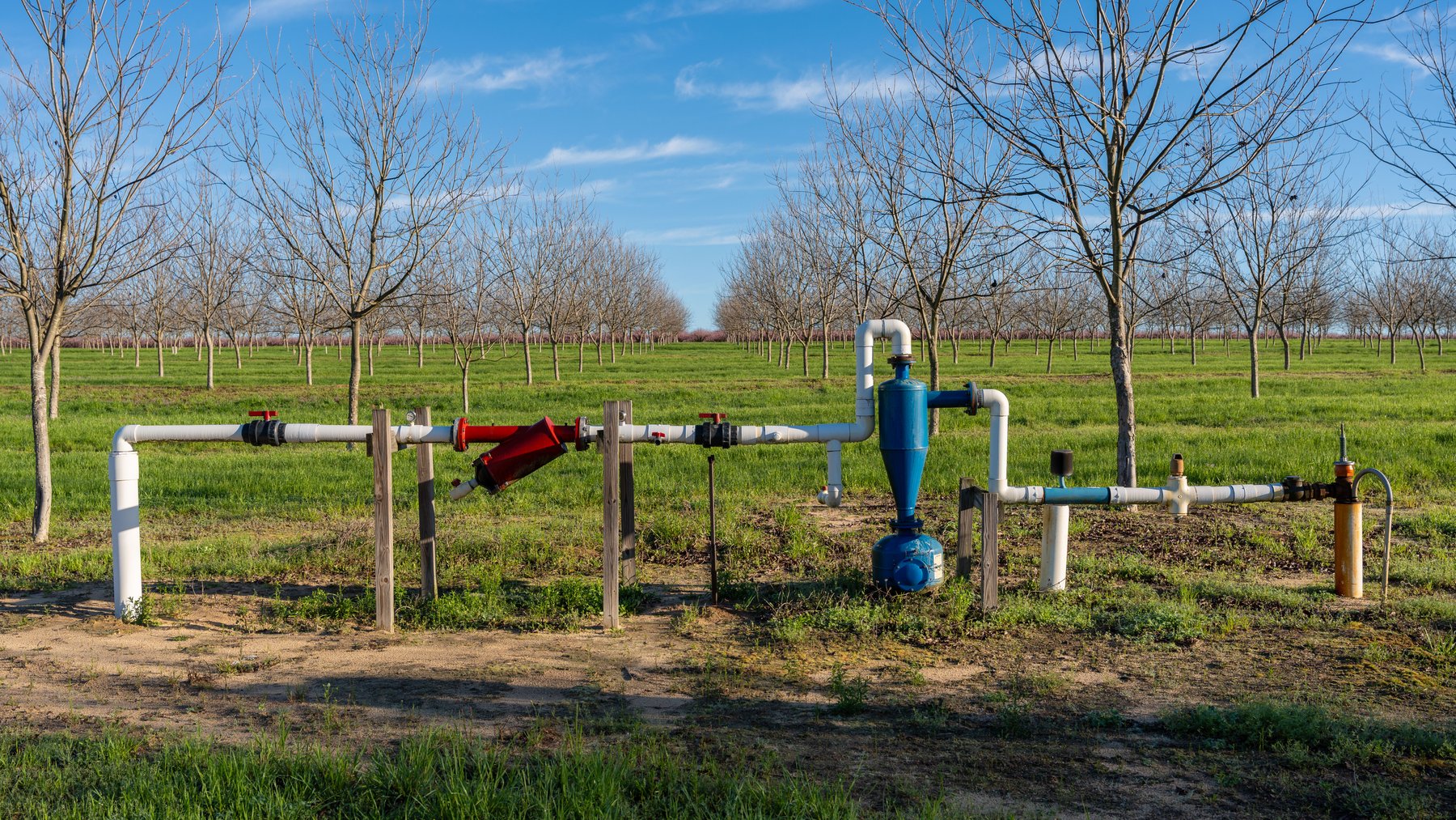 Image for Sidney Lanier Farms - 271+/- Acres - Whitewater Road Orchards