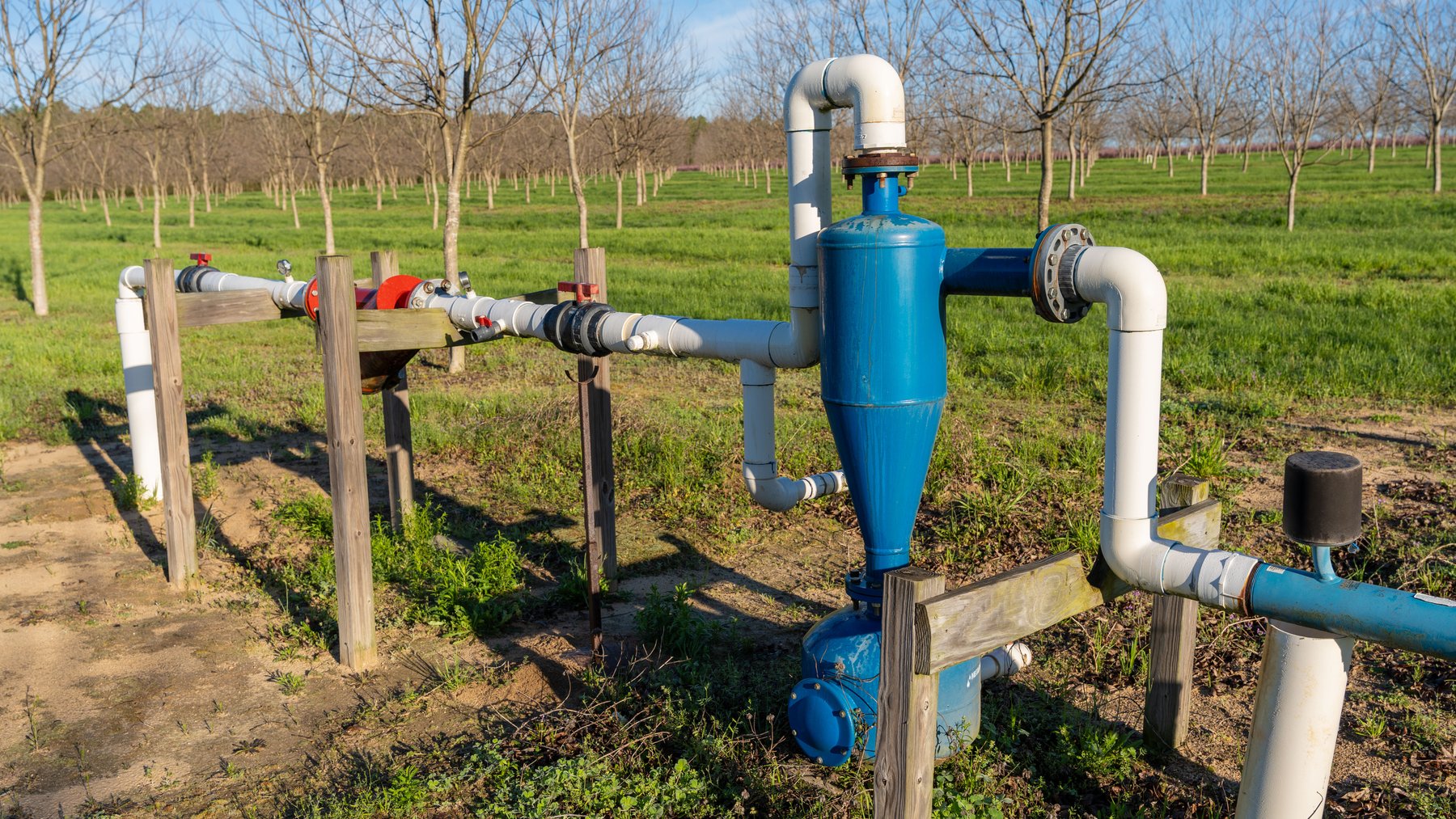 Image for Sidney Lanier Farms - 271+/- Acres - Whitewater Road Orchards