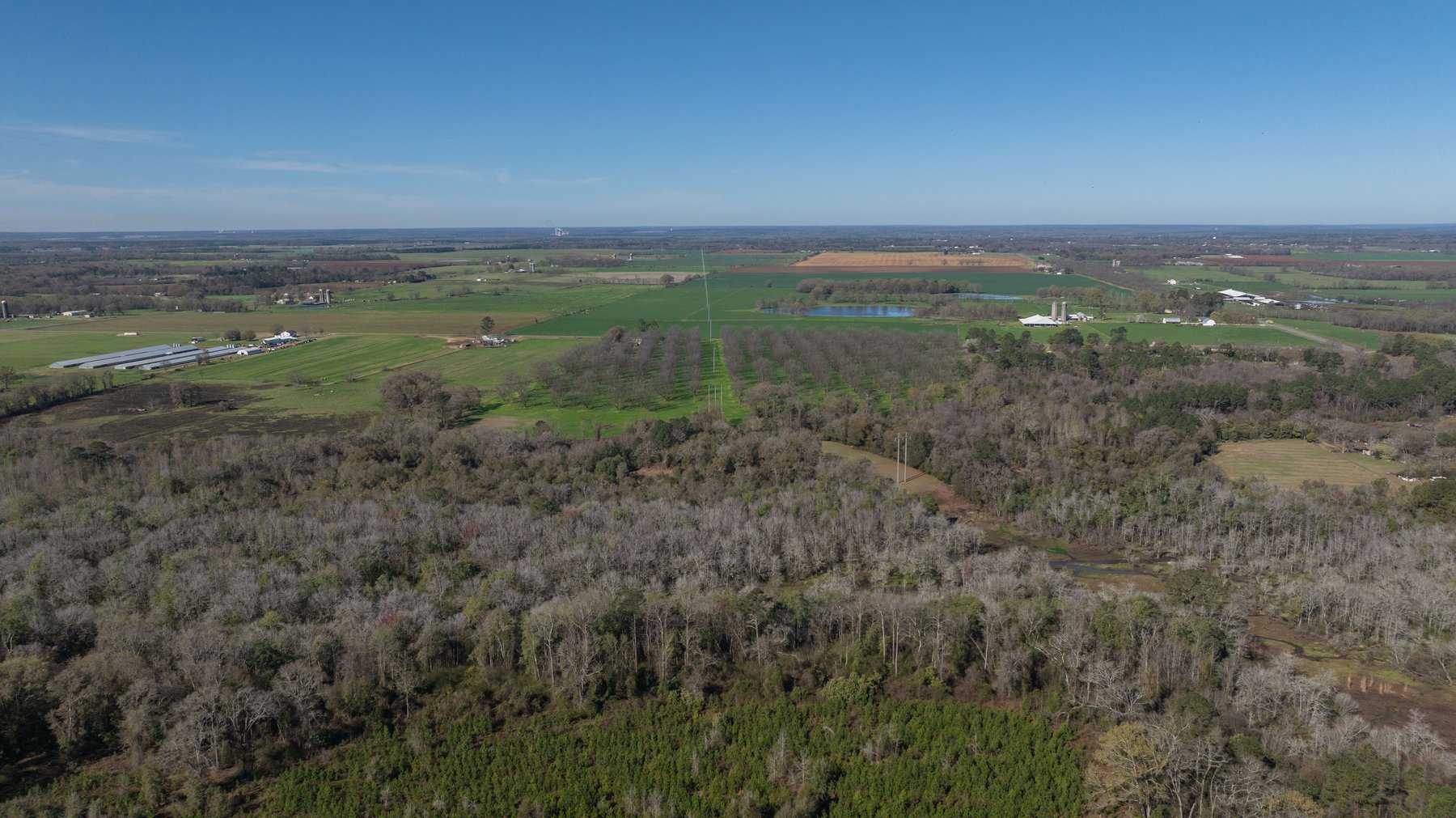 Image for Sidney Lanier Farms - 85+/- Acres - Croxton Road Orchard