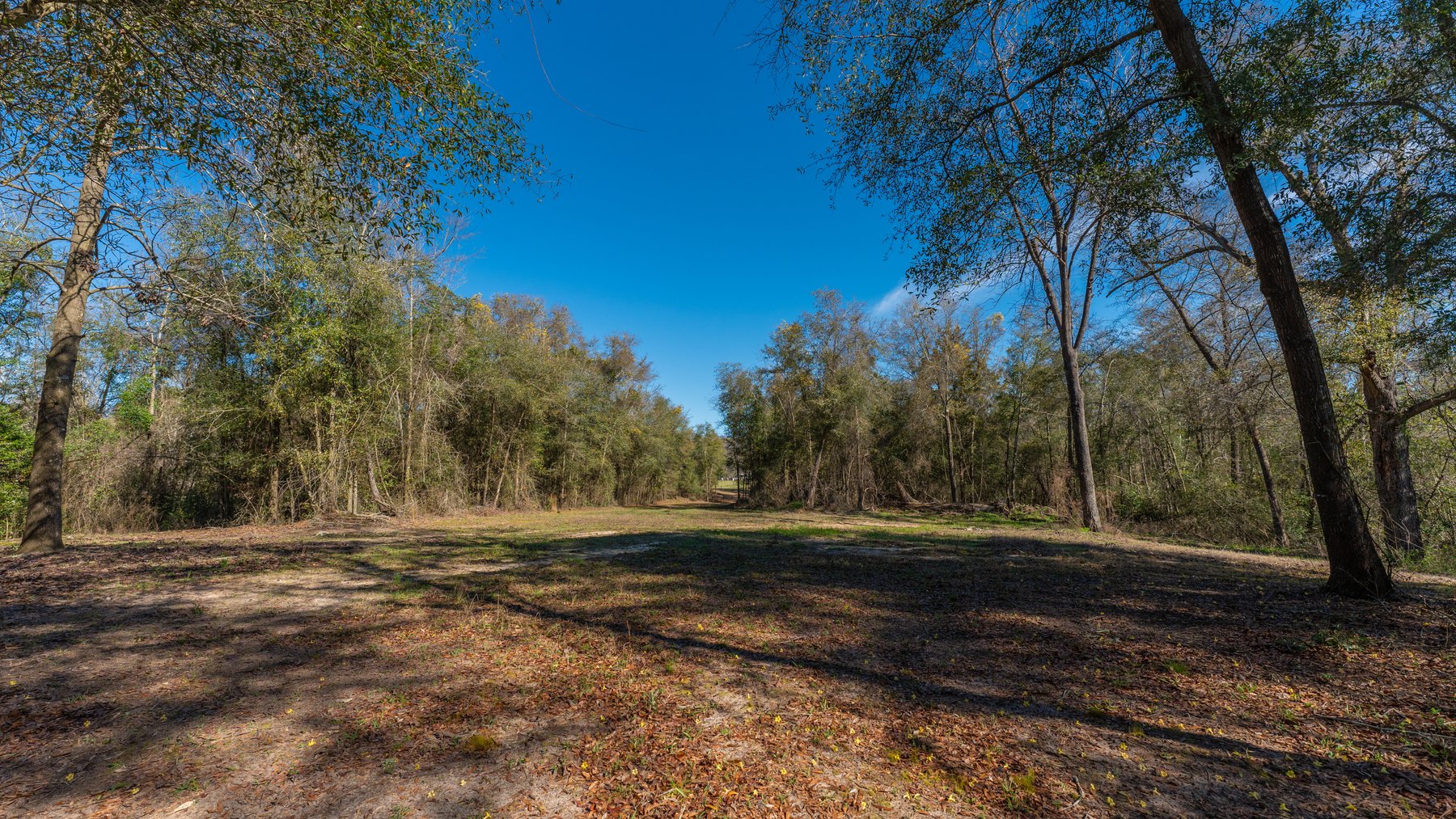 Image for Sidney Lanier Farms - 85+/- Acres - Croxton Road Orchard