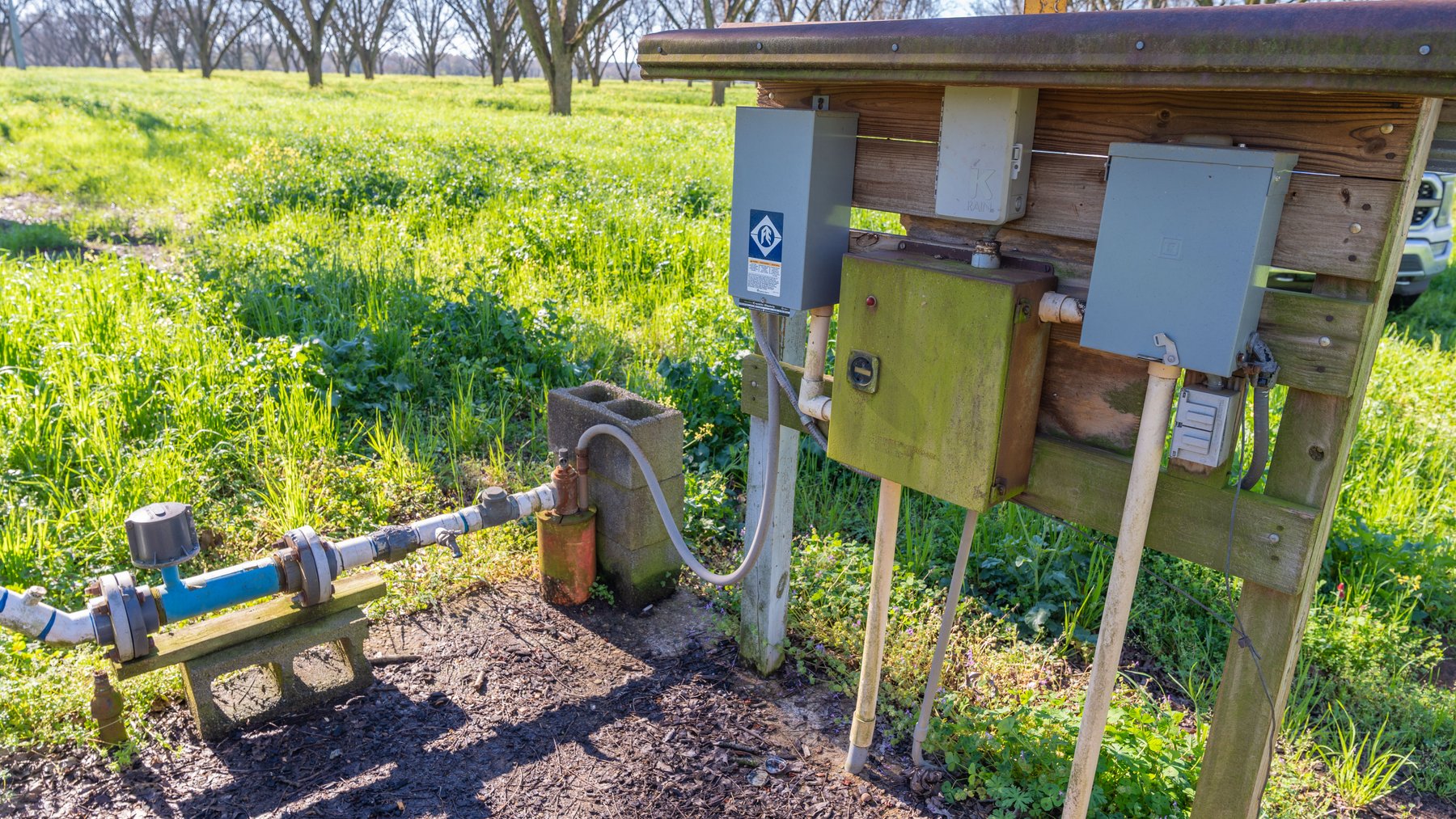 Image for Sidney Lanier Farms - 85+/- Acres - Croxton Road Orchard