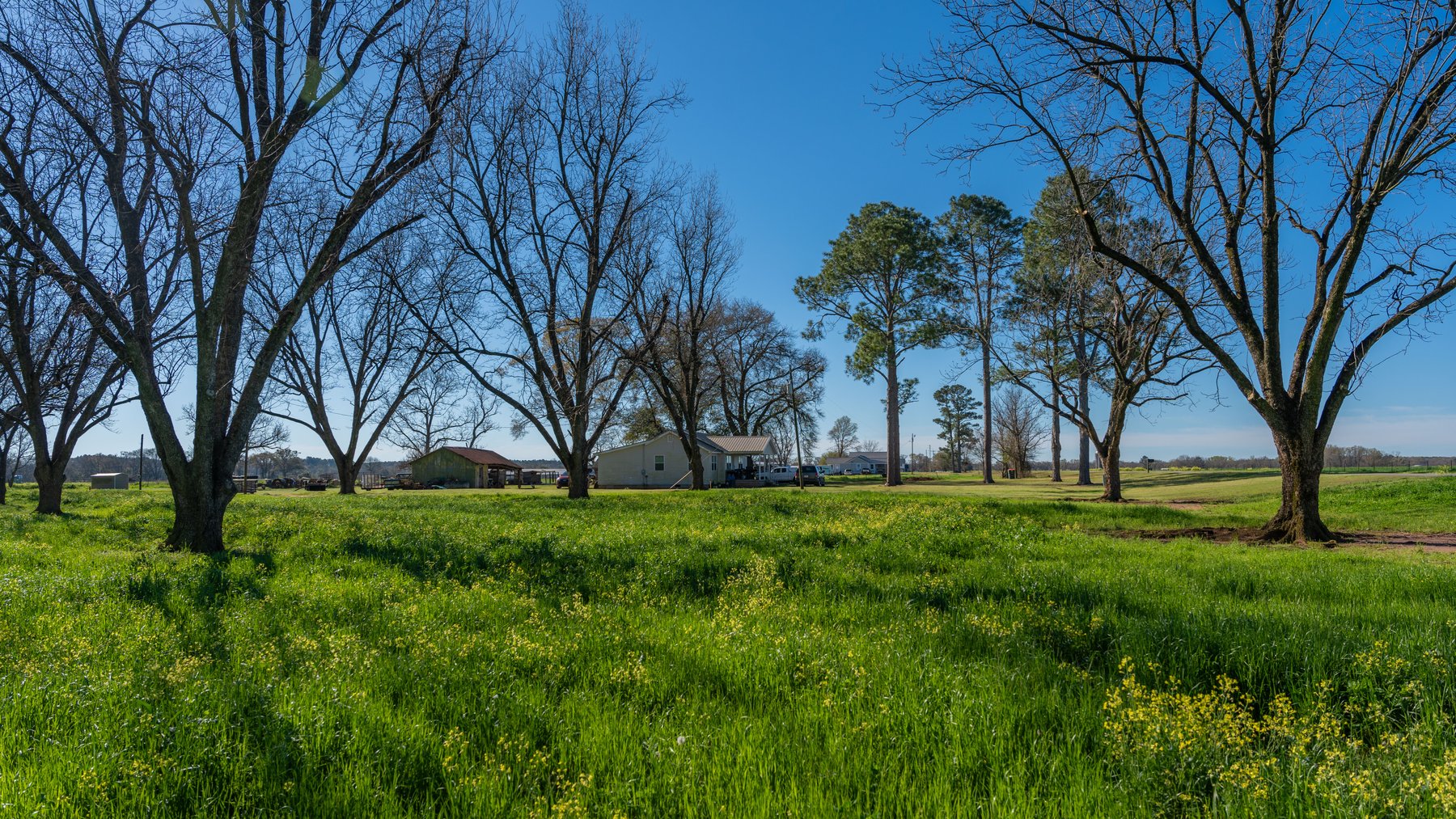 Image for Sidney Lanier Farms - 85+/- Acres - Croxton Road Orchard