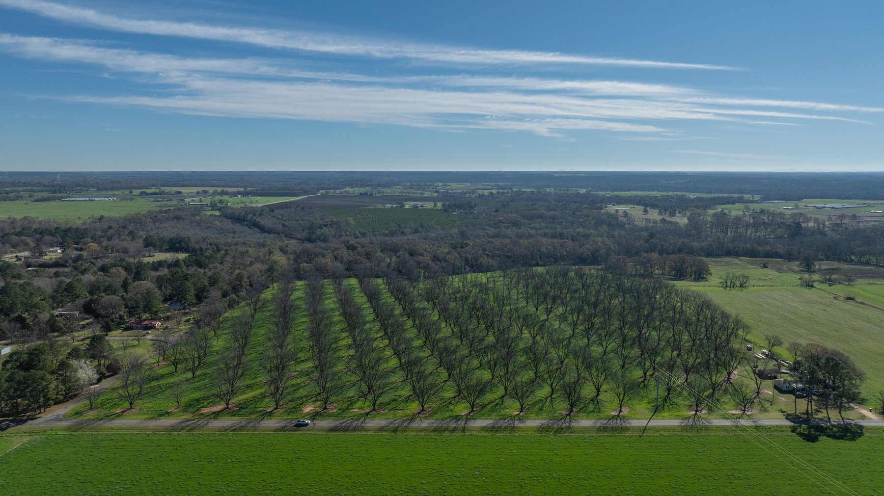 Image for Sidney Lanier Farms - 85+/- Acres - Croxton Road Orchard