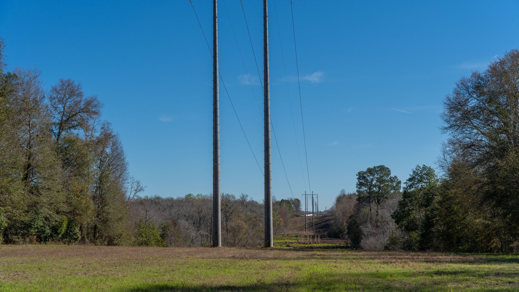 Image for Sidney Lanier Farms - 85+/- Acres - Croxton Road Orchard