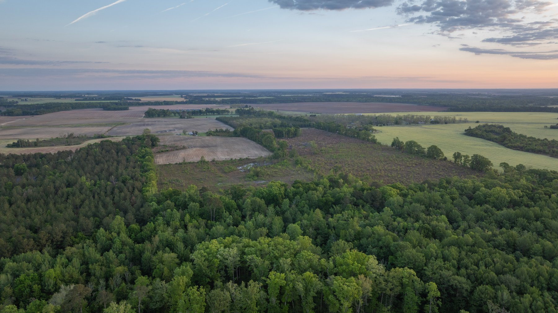 Image for 45+/- Acres - Fowl Hill Farms - Recreational Property w/ Row Crop Farmland