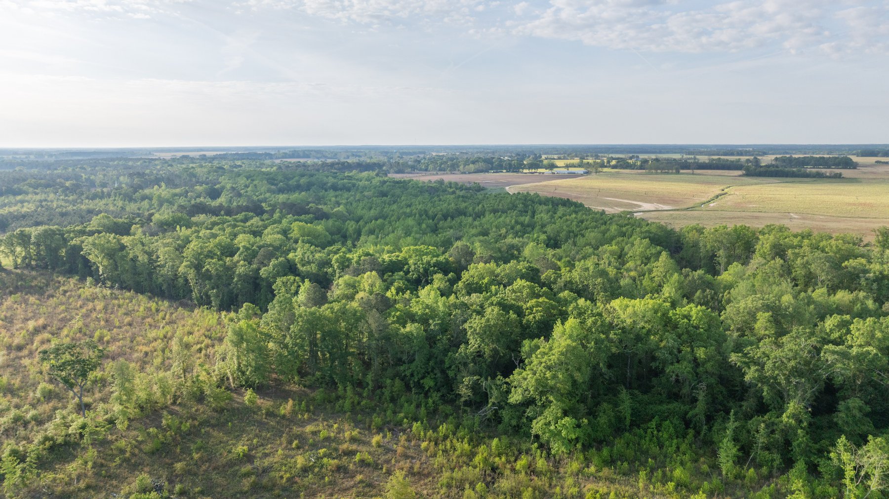 Image for 45+/- Acres - Fowl Hill Farms - Recreational Property w/ Row Crop Farmland