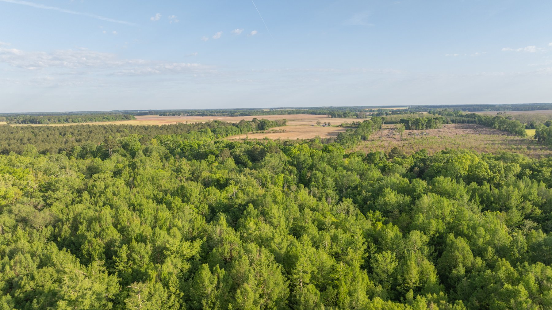 Image for 45+/- Acres - Fowl Hill Farms - Recreational Property w/ Row Crop Farmland