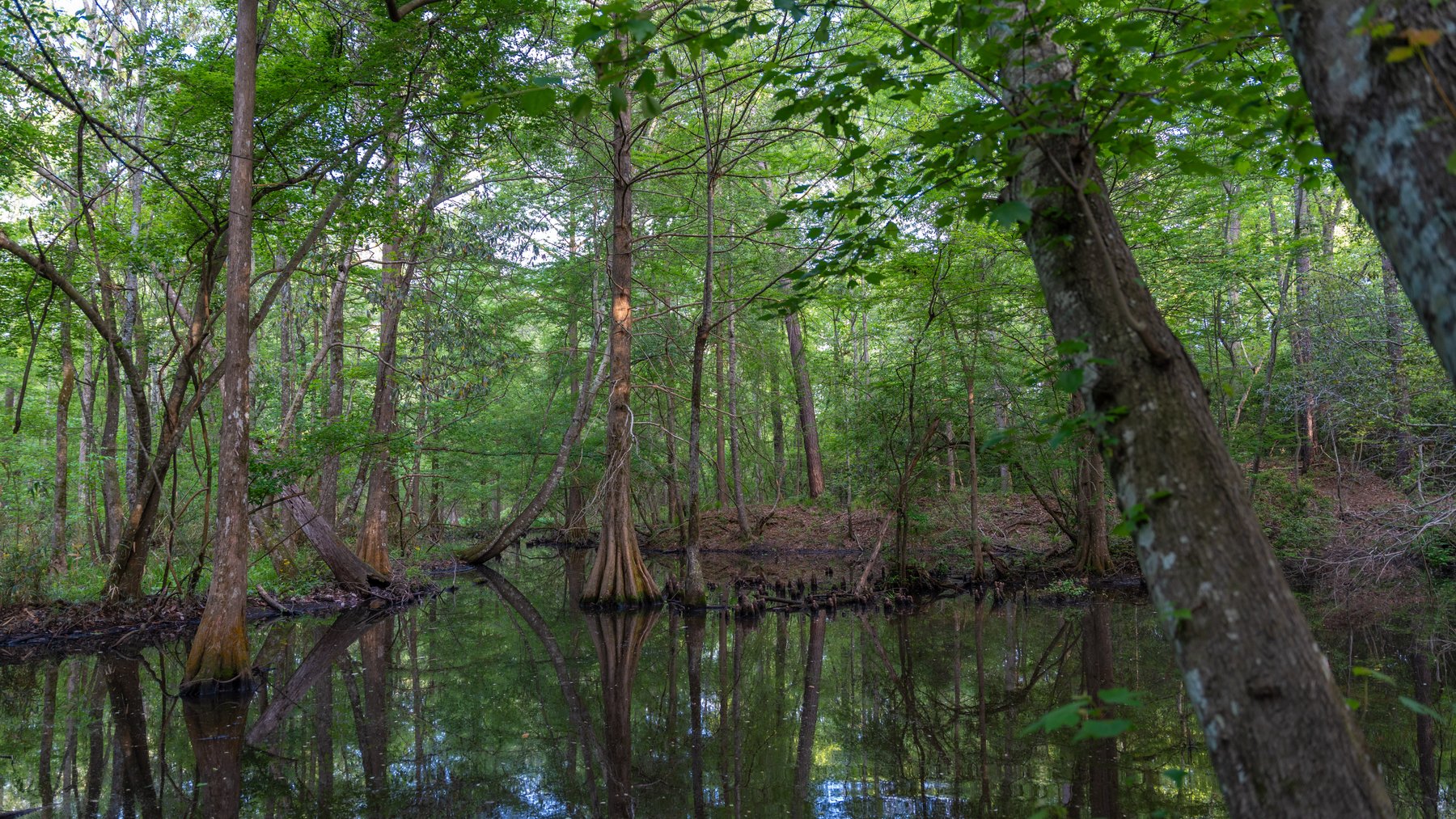 Image for 45+/- Acres - Fowl Hill Farms - Recreational Property w/ Row Crop Farmland