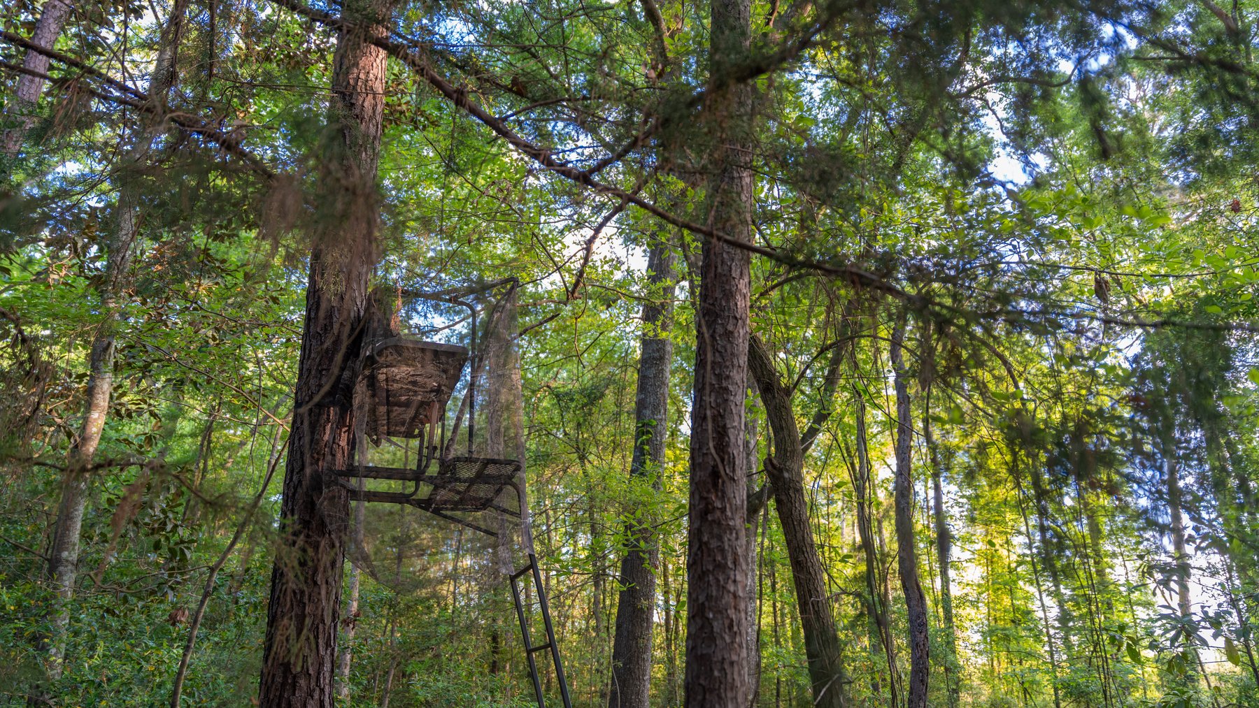 Image for 45+/- Acres - Fowl Hill Farms - Recreational Property w/ Row Crop Farmland