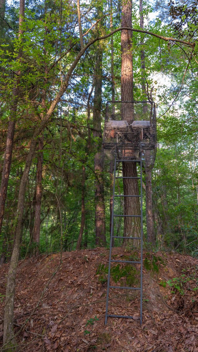 Image for 45+/- Acres - Fowl Hill Farms - Recreational Property w/ Row Crop Farmland