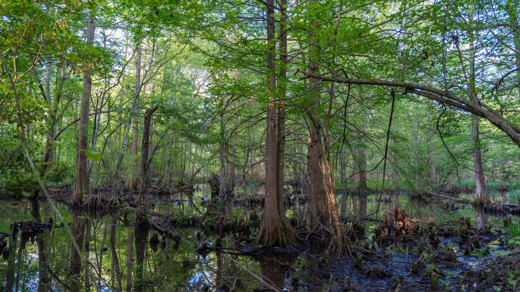 Image for 45+/- Acres - Fowl Hill Farms - Recreational Property w/ Row Crop Farmland