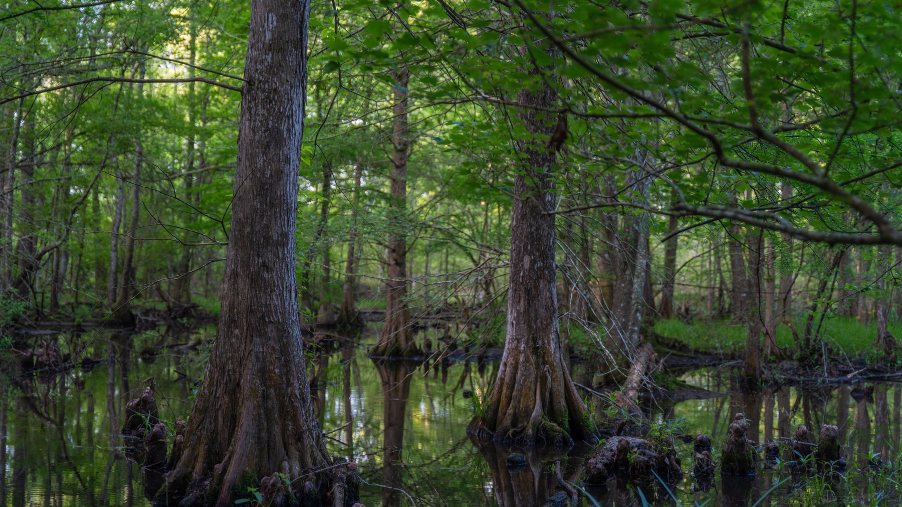 Image for 45+/- Acres - Fowl Hill Farms - Recreational Property w/ Row Crop Farmland